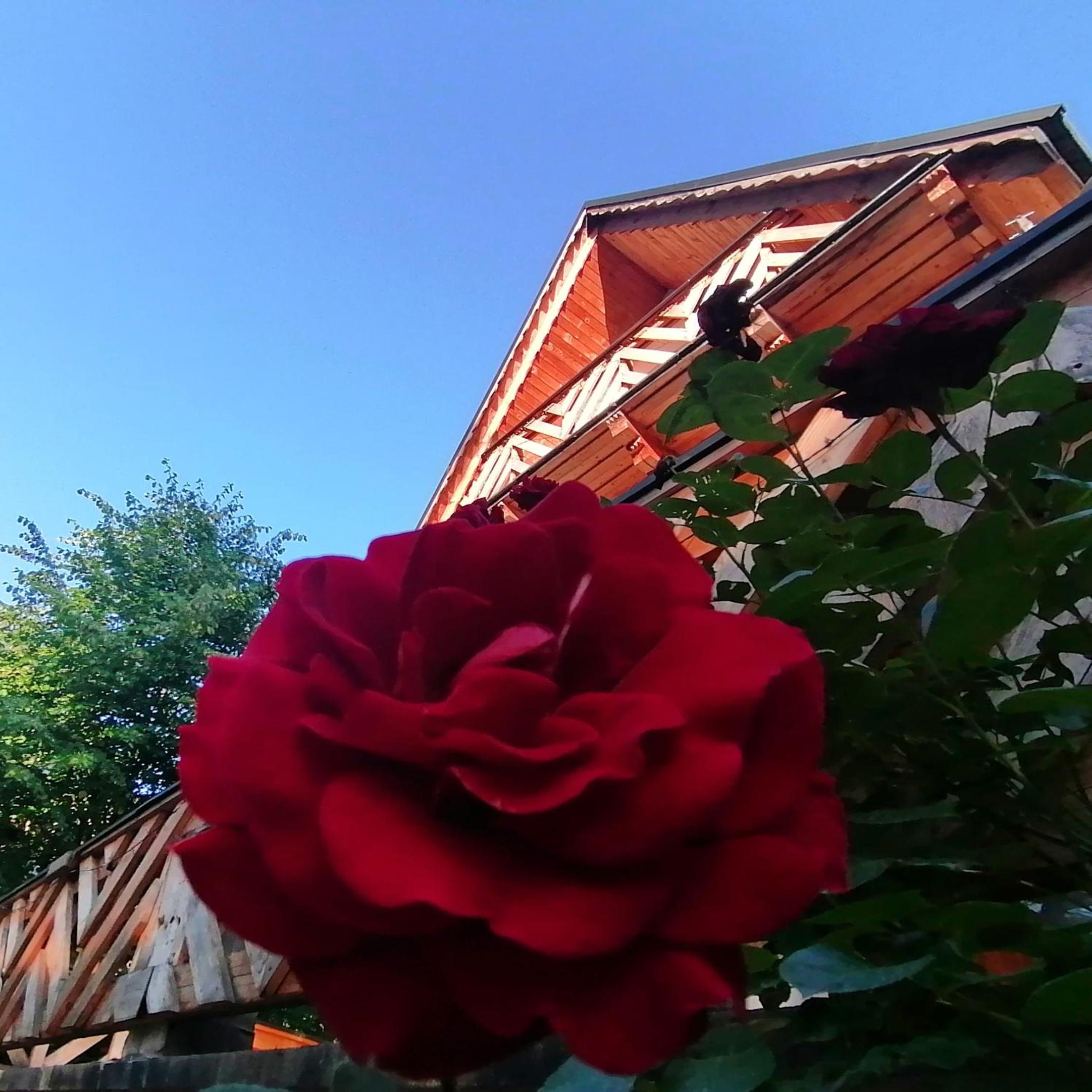 Photo 36