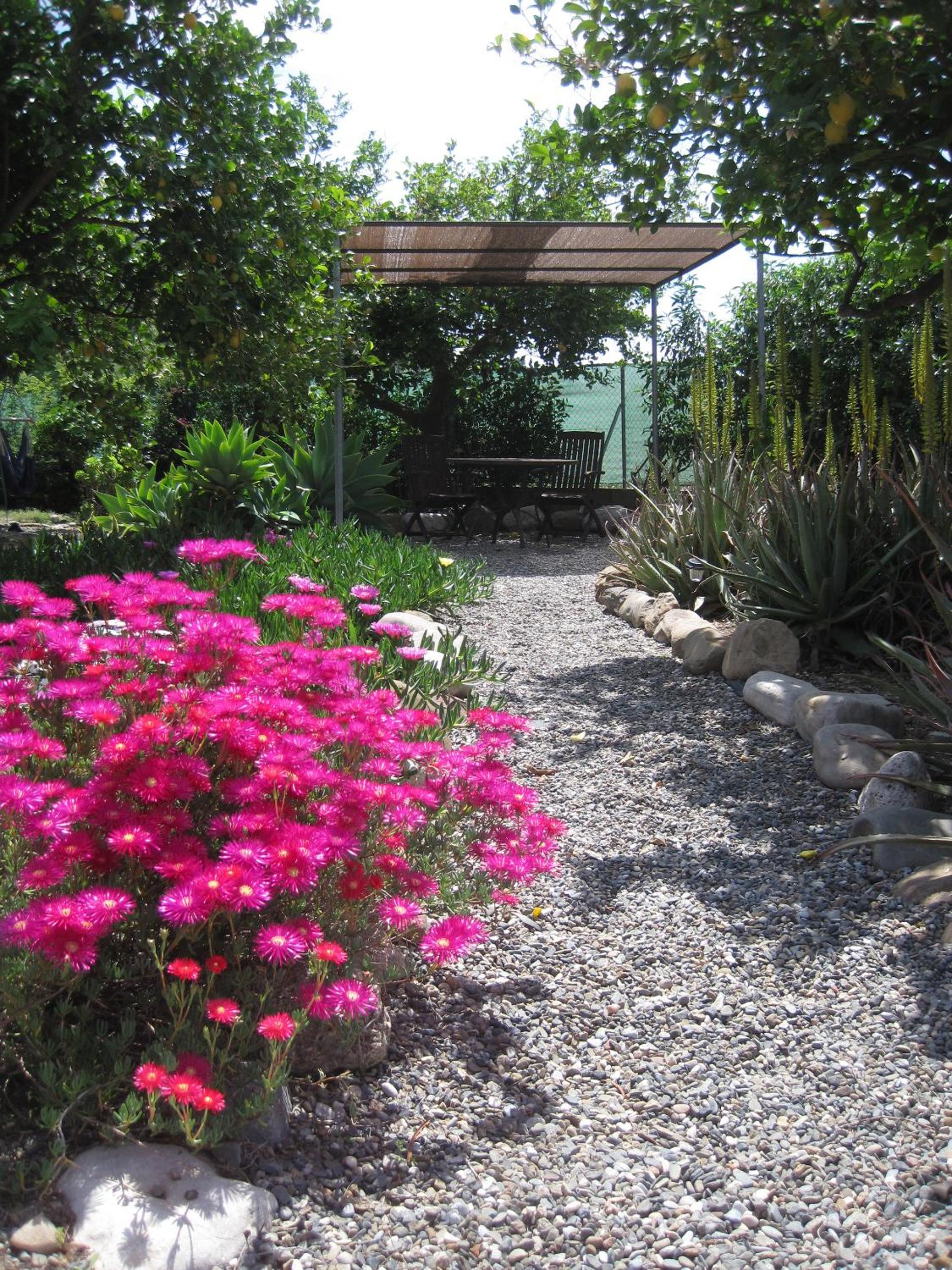Photo 48