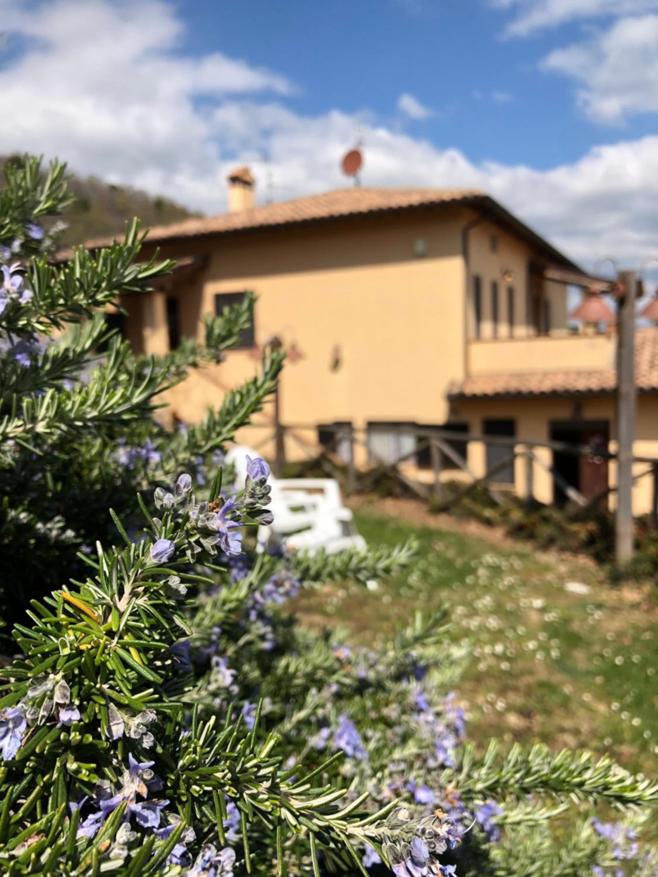 Il Borgo delle Stelle view 5