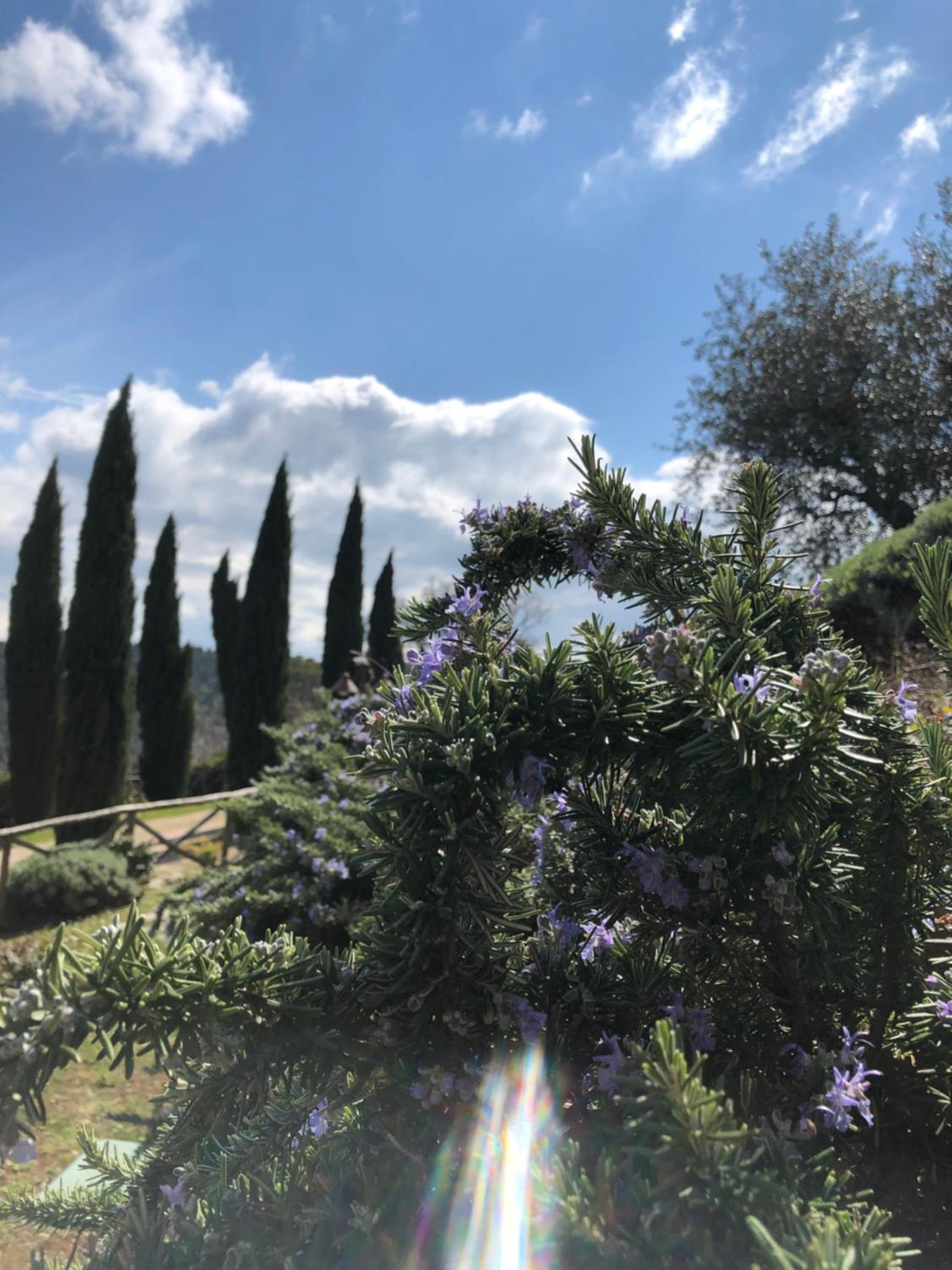 Il Borgo delle Stelle view 4