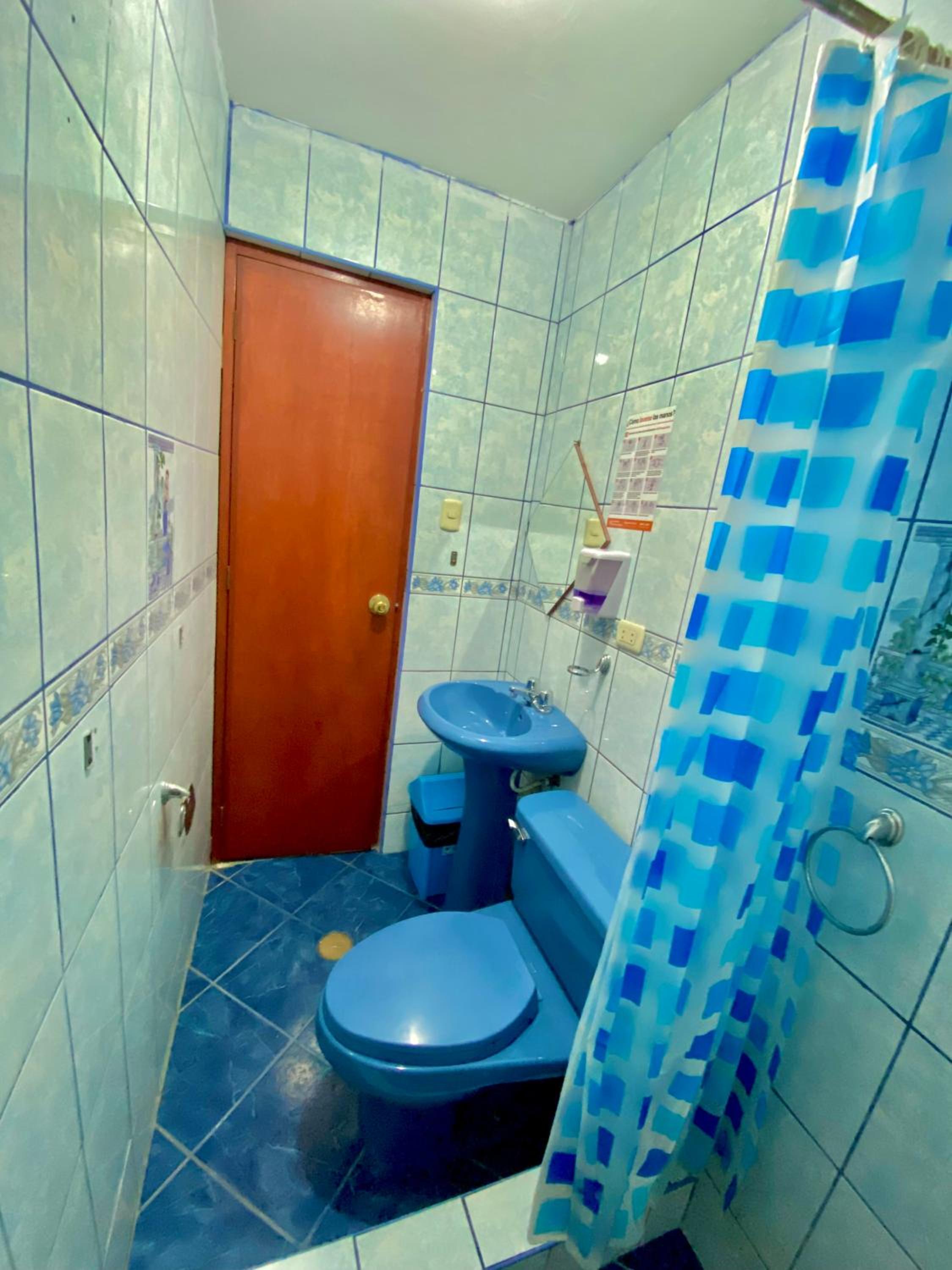 Photo 50