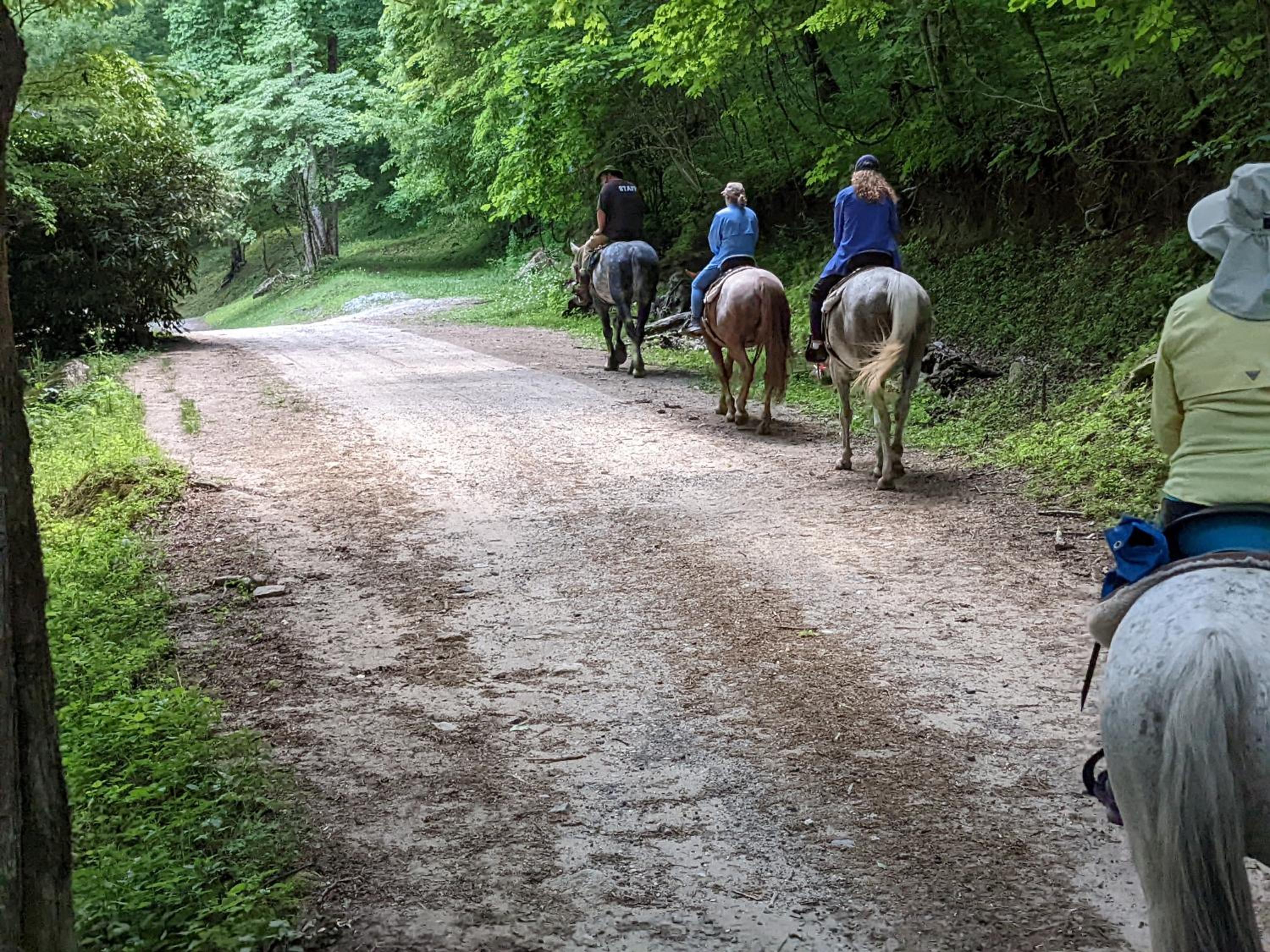 Arrowmont Stables & Cabins