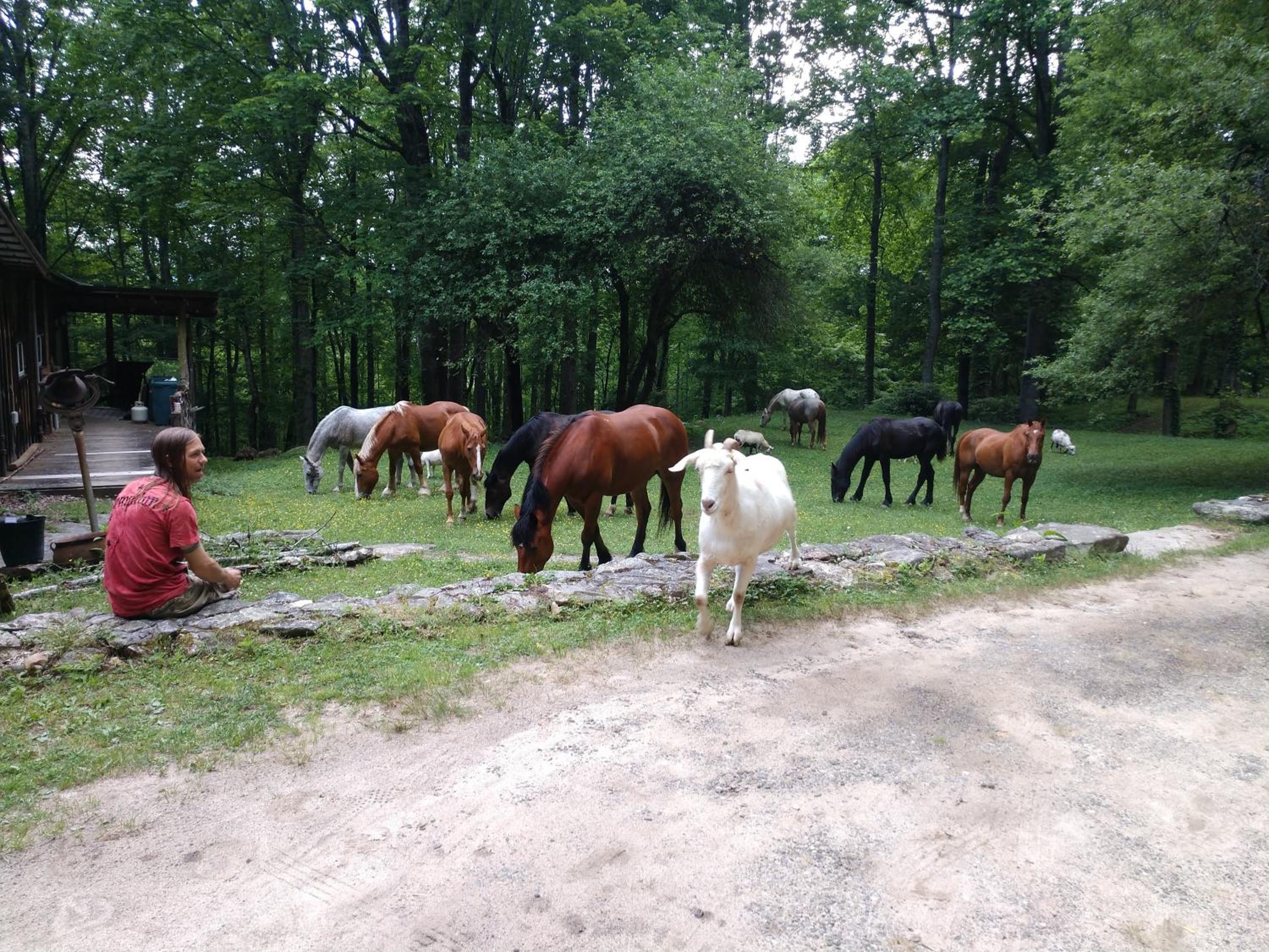 Arrowmont Stables & Cabins