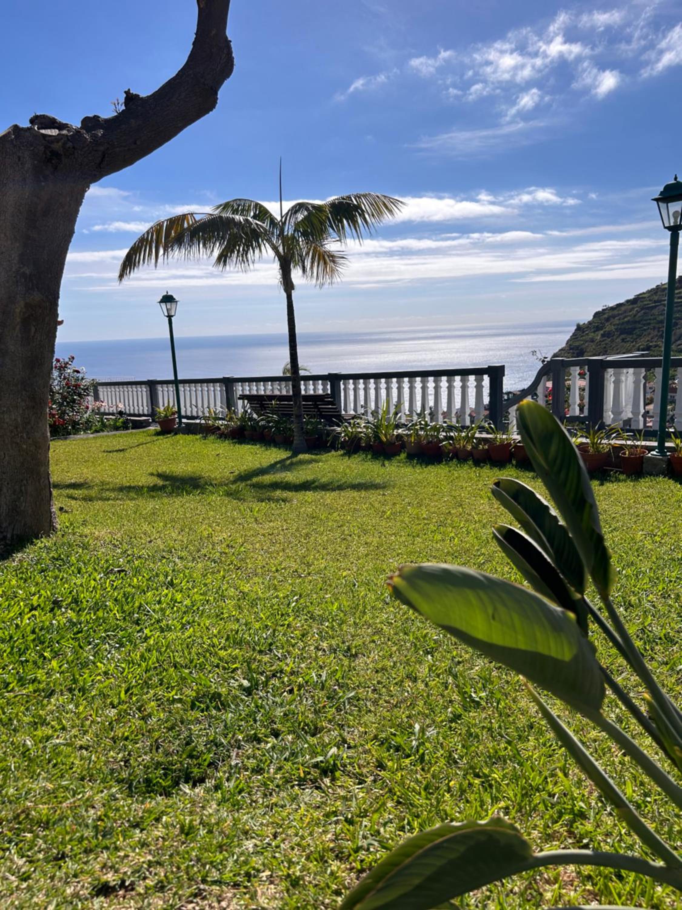 Tropical Garden