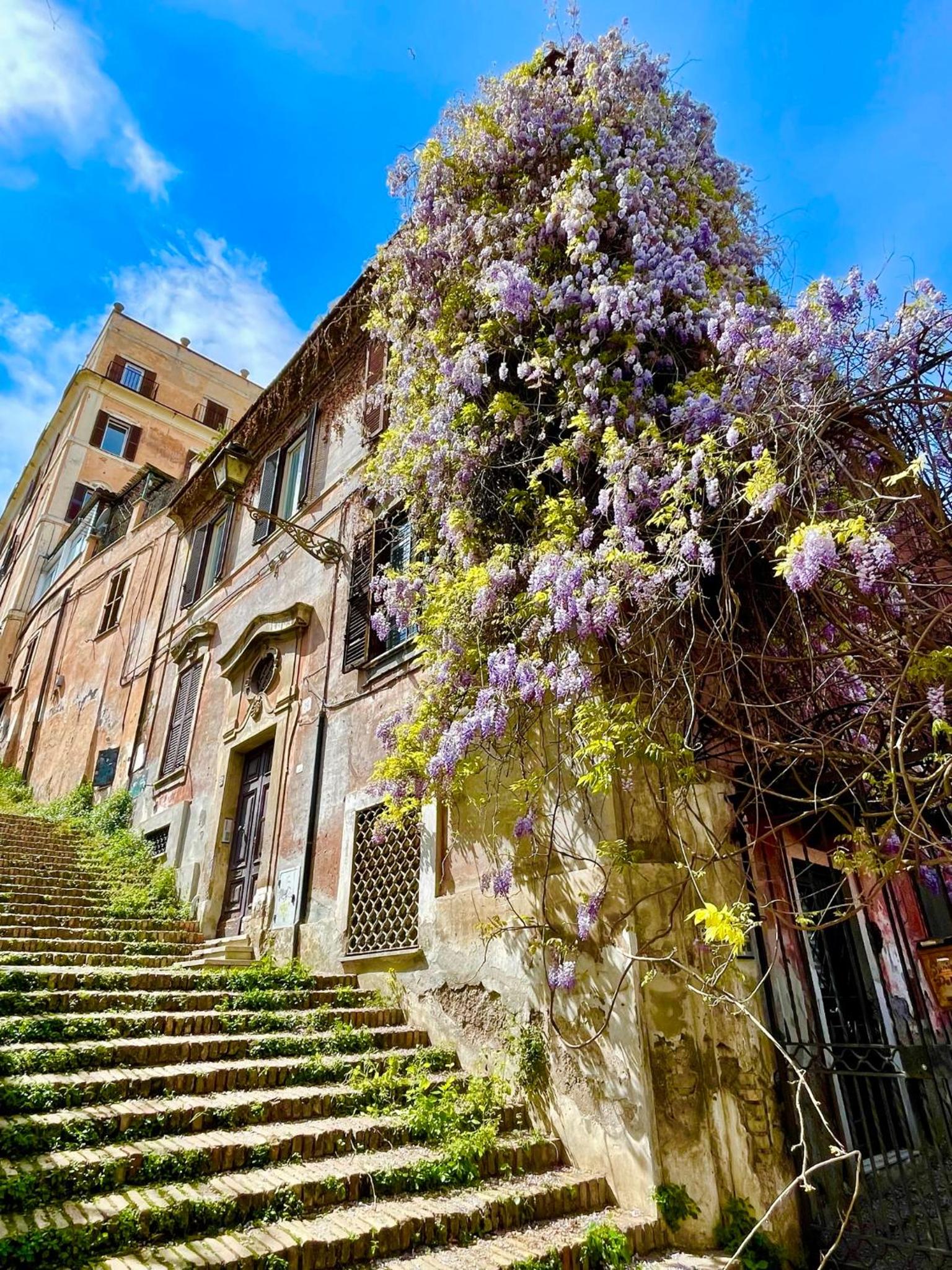Sant’Onofrio - Trastevere Vatican apartment Roma