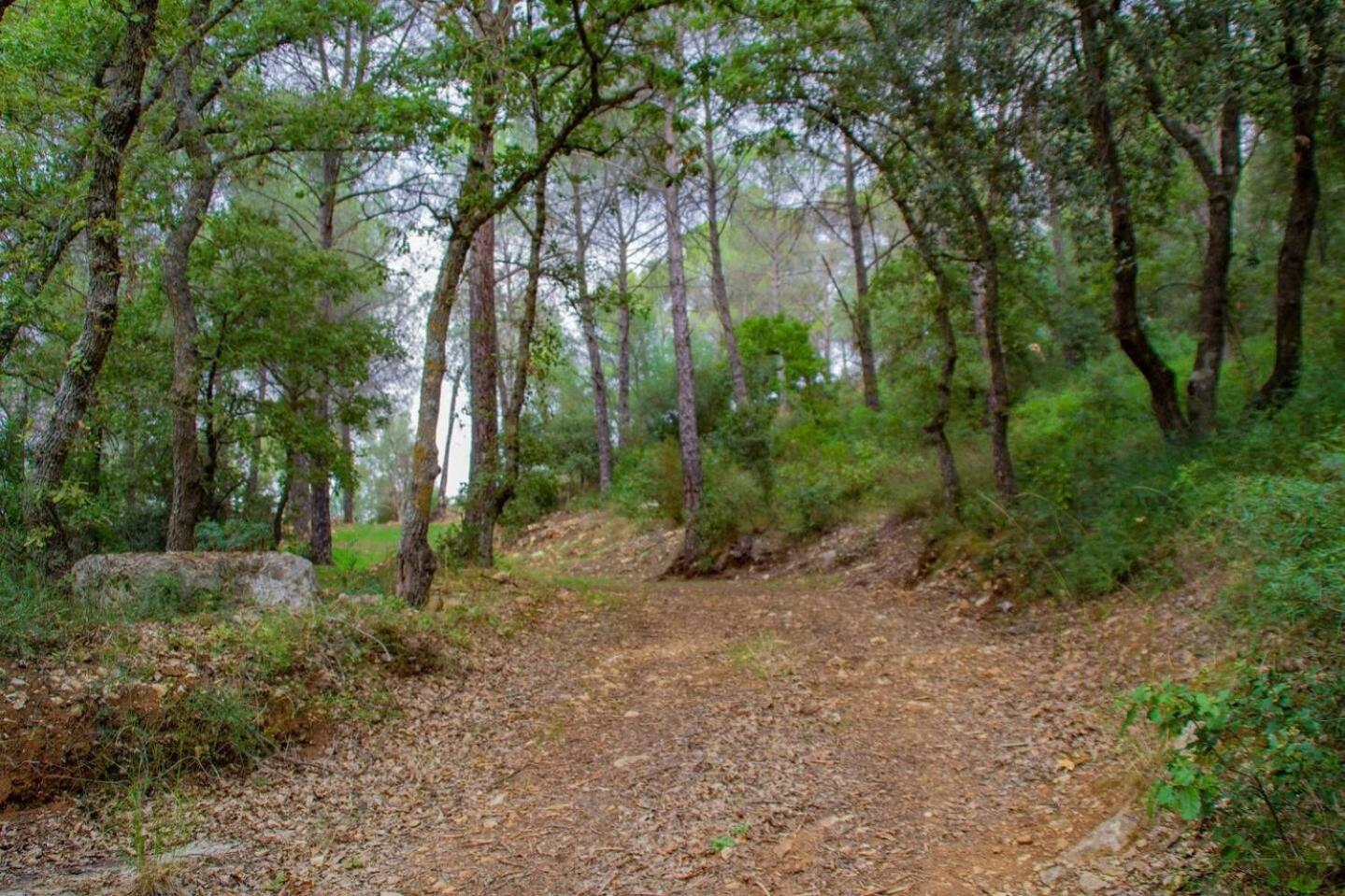 Photo 48