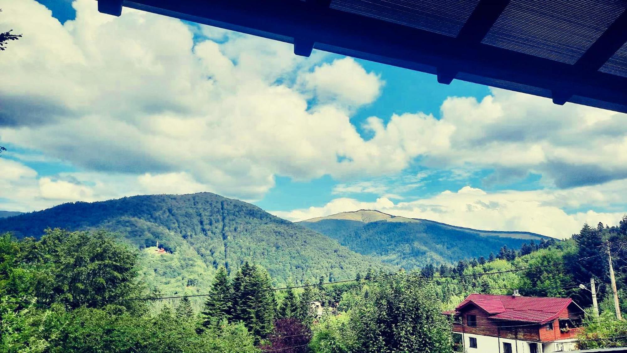 Iepurasul Sinaia