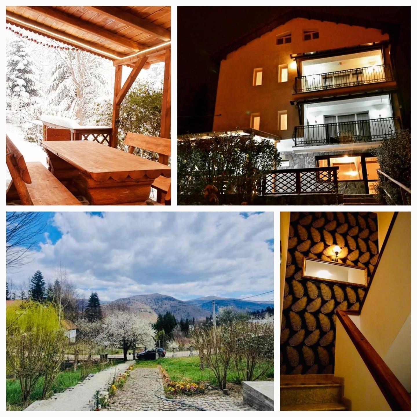 Iepurasul Sinaia