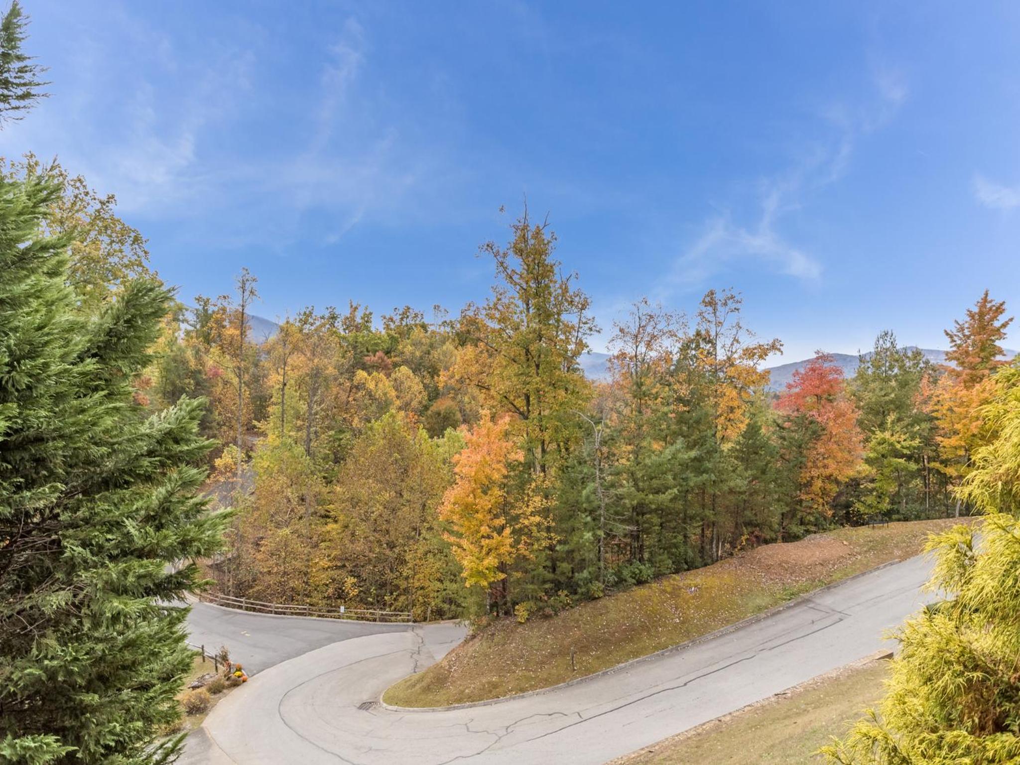 Saddle Ridge