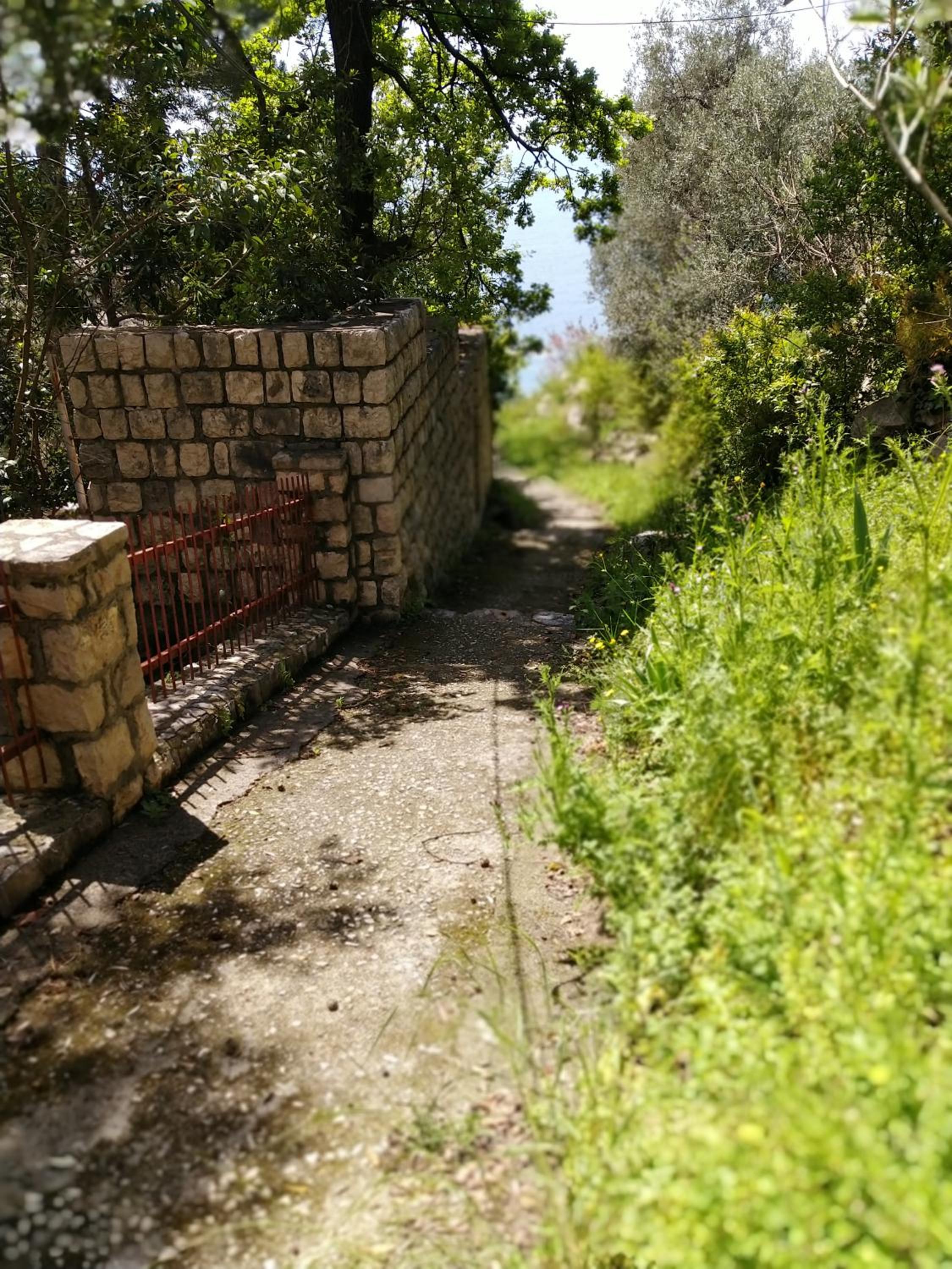 Photo 35