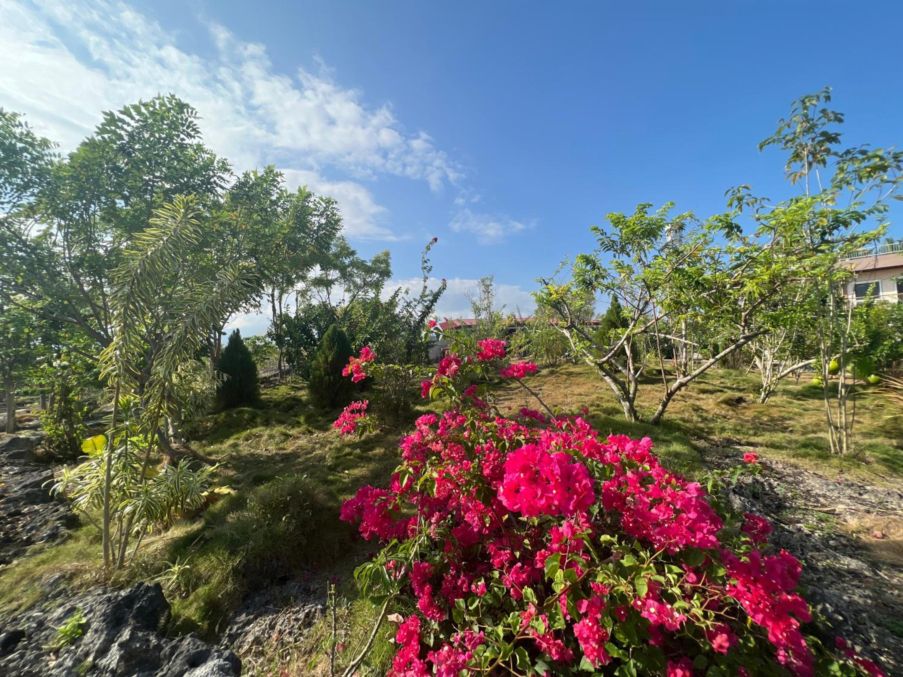 La Plumerias view 4