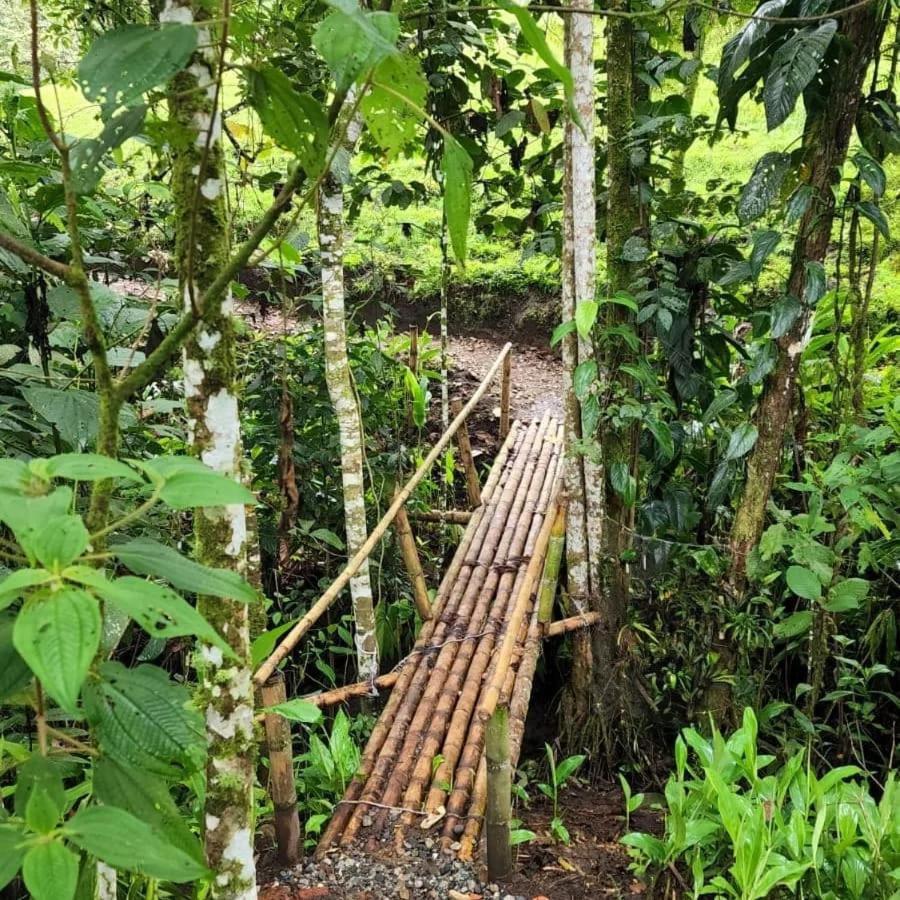 EcoaldeaHotel Aguaviva2