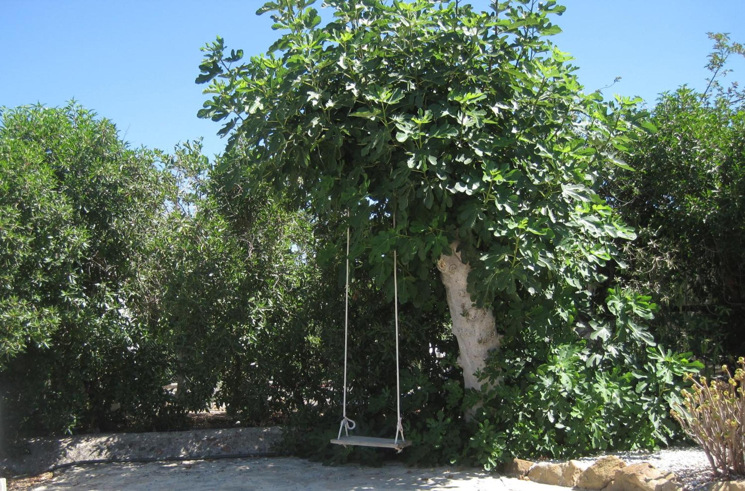Photo 45