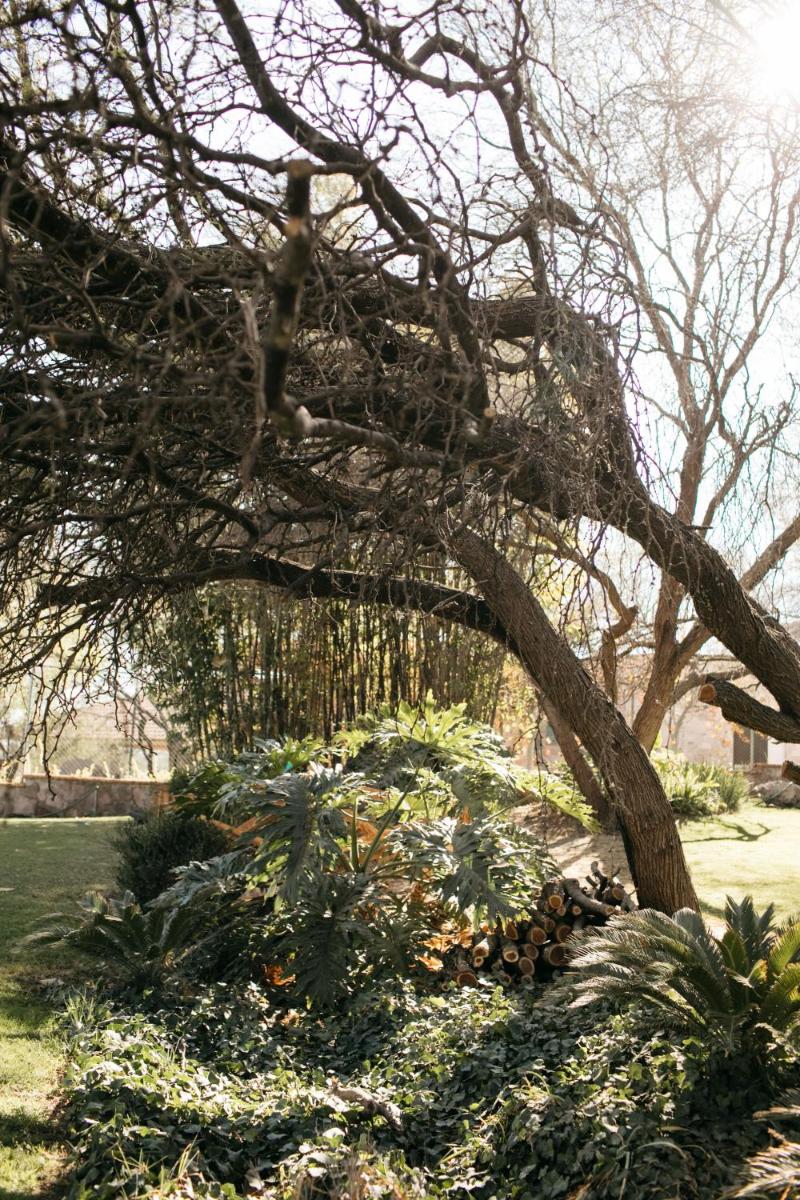 garden