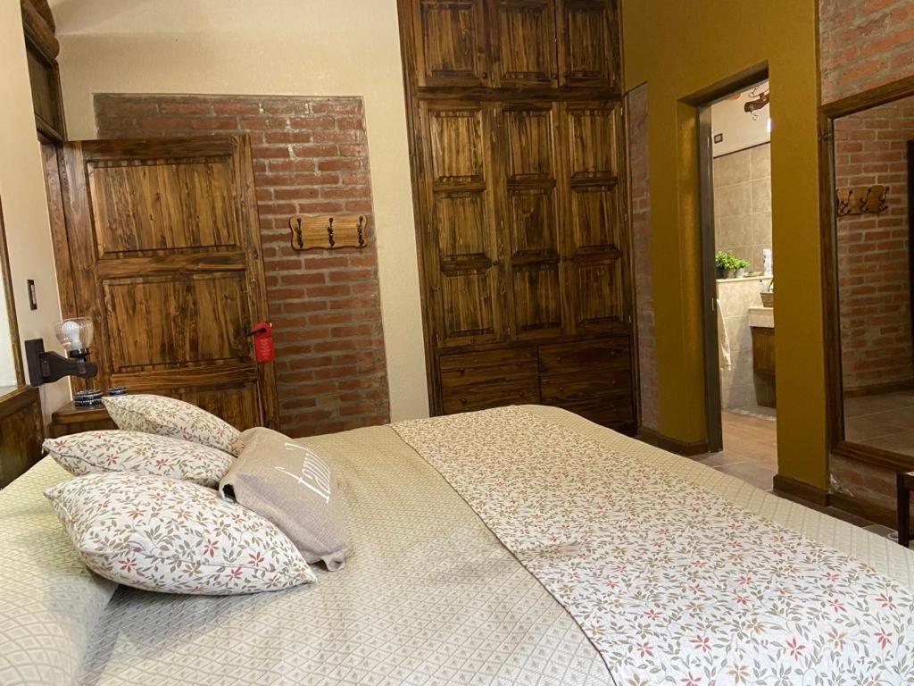 Casa Cefas -Zonda San Juan-