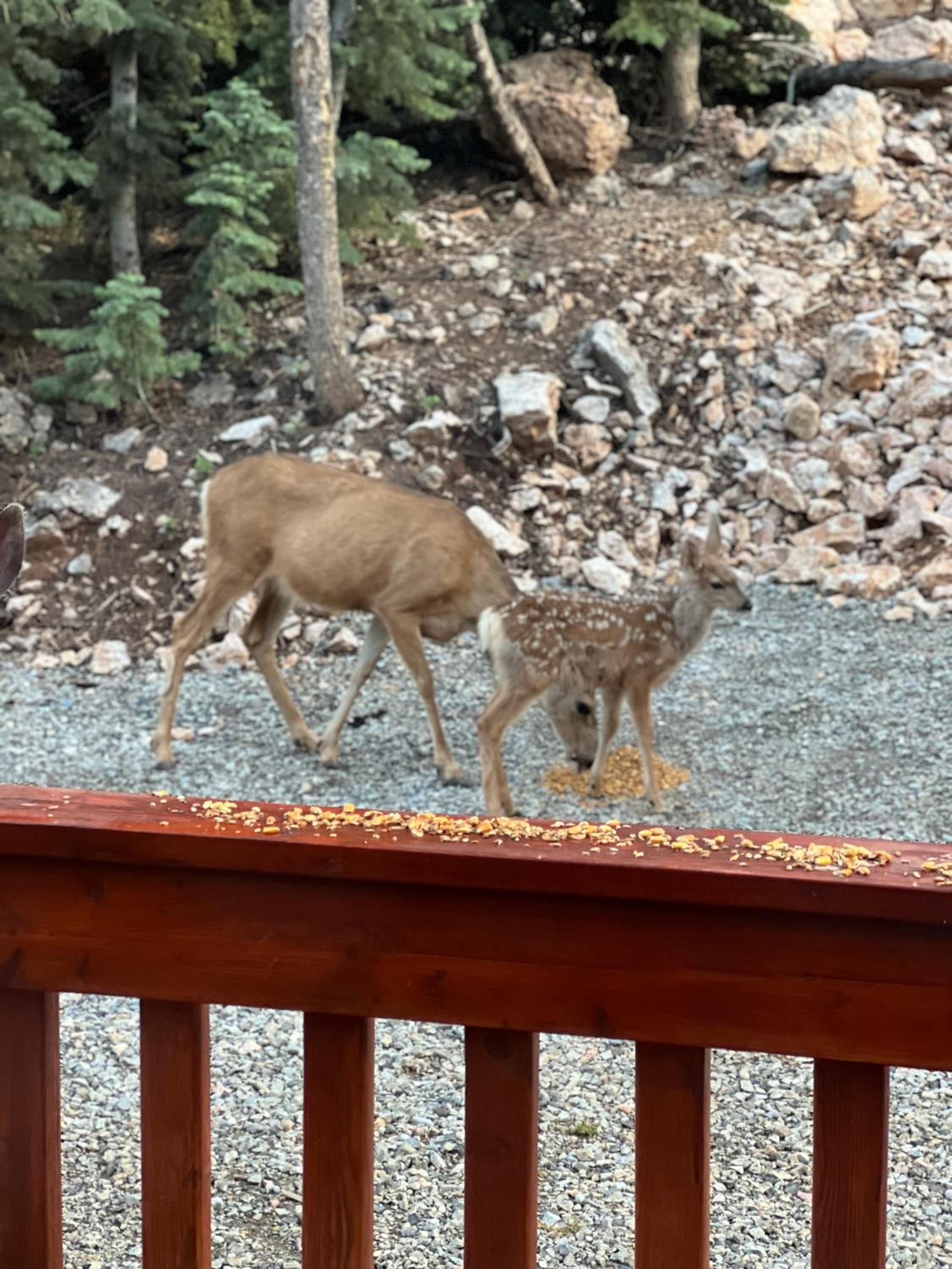 The Duck Creek Village Getaway