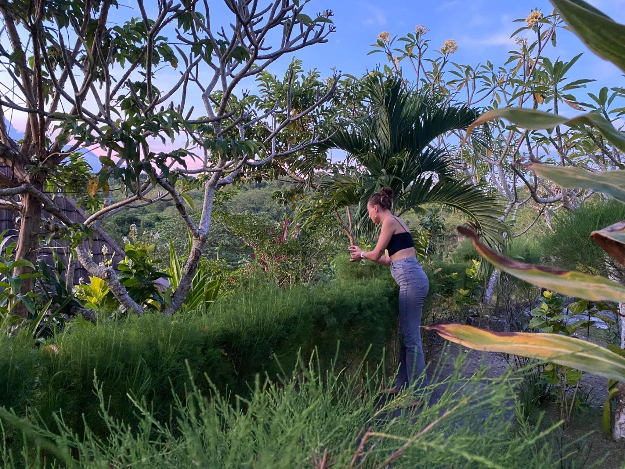 The Pancor Jungle Resort view 4