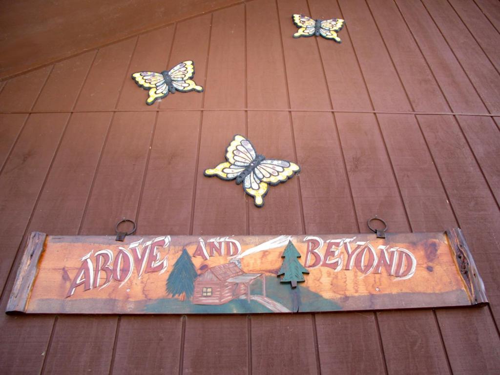 Above and Beyond view 4