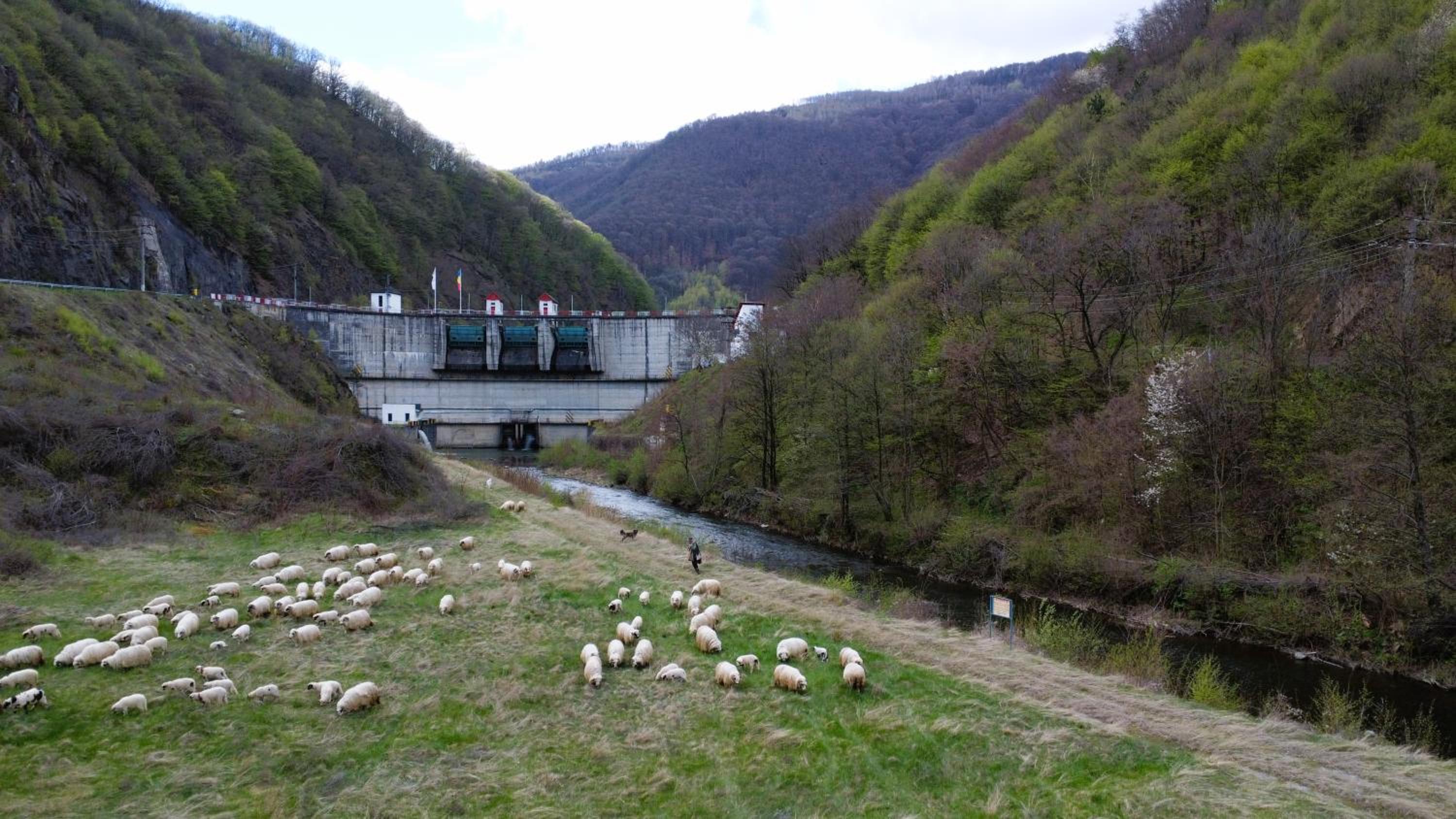 Eden Natural Resort - Transalpina view 5