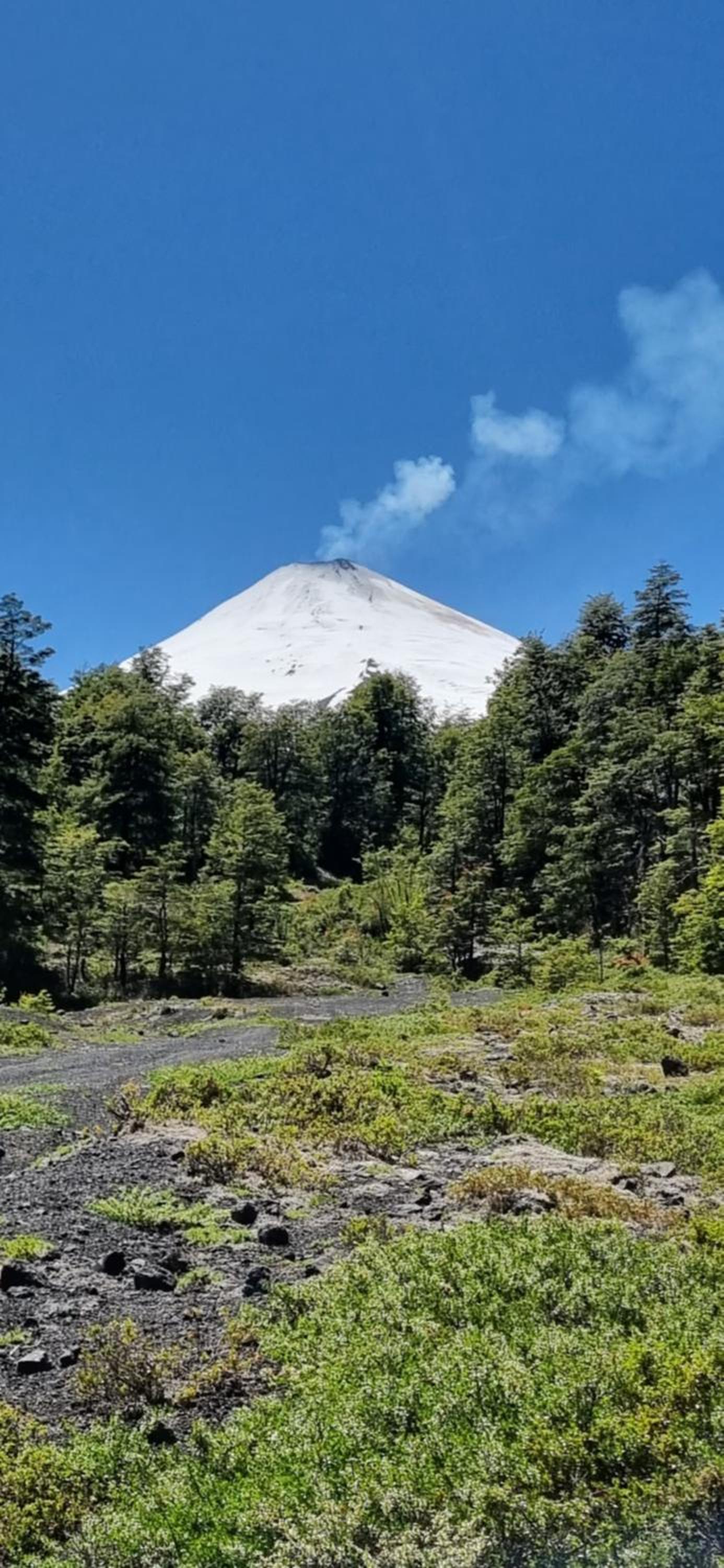Cabaña Alpina Bosques de Cudico
