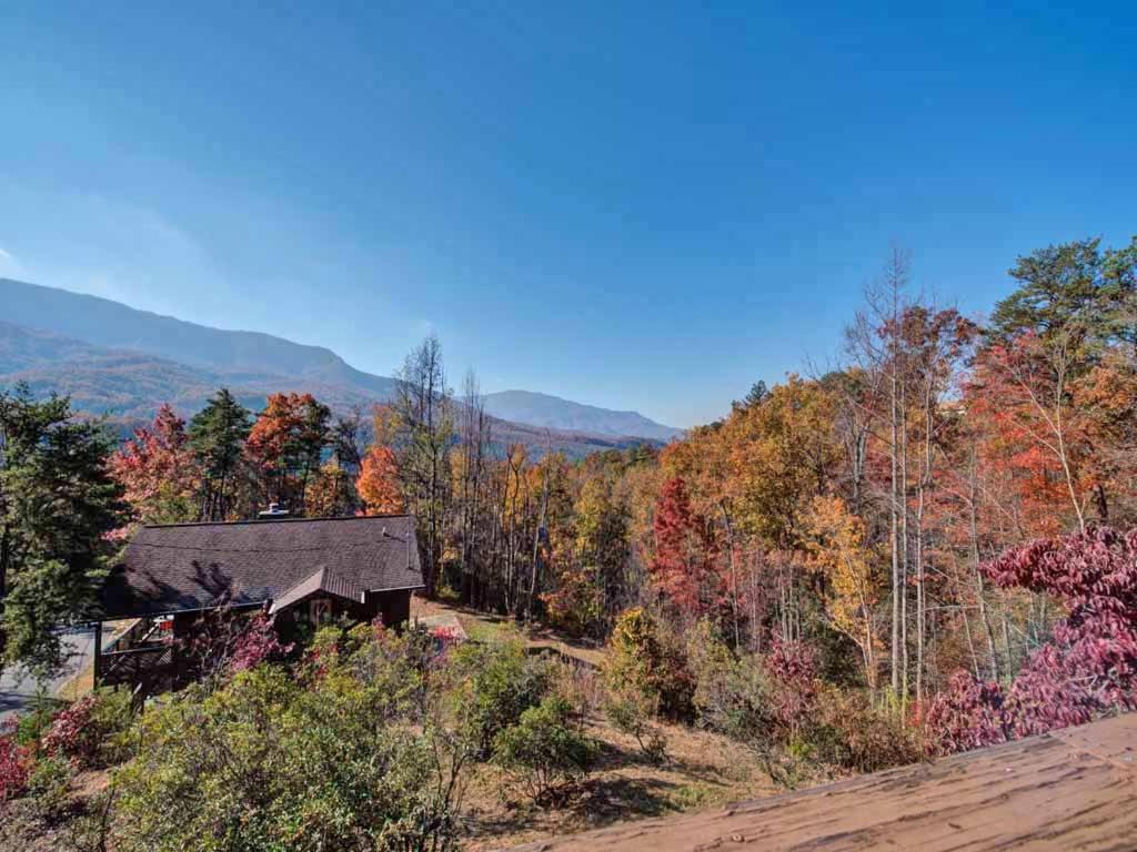 Alpine Windsong view 5