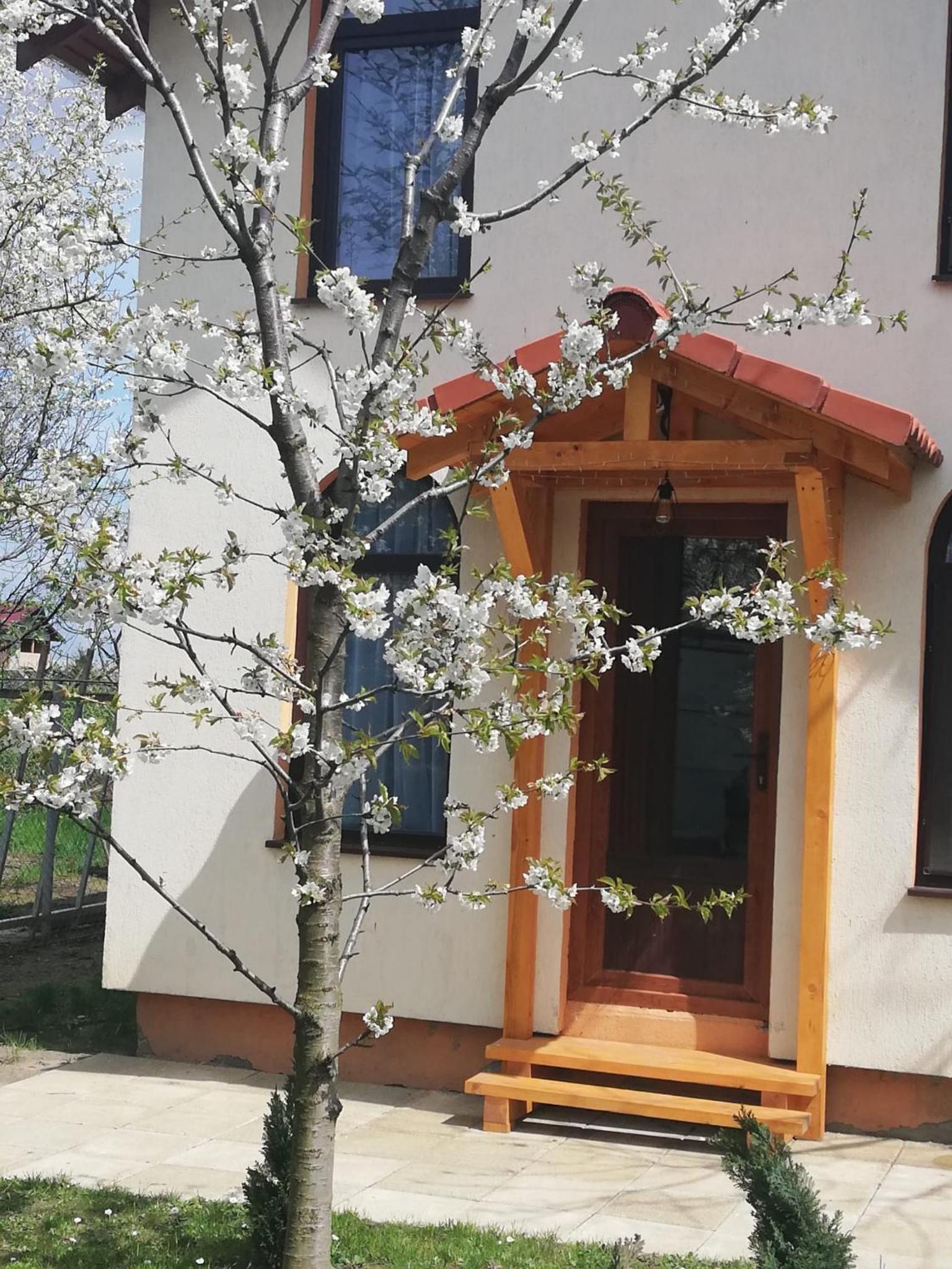 TINY CABIN