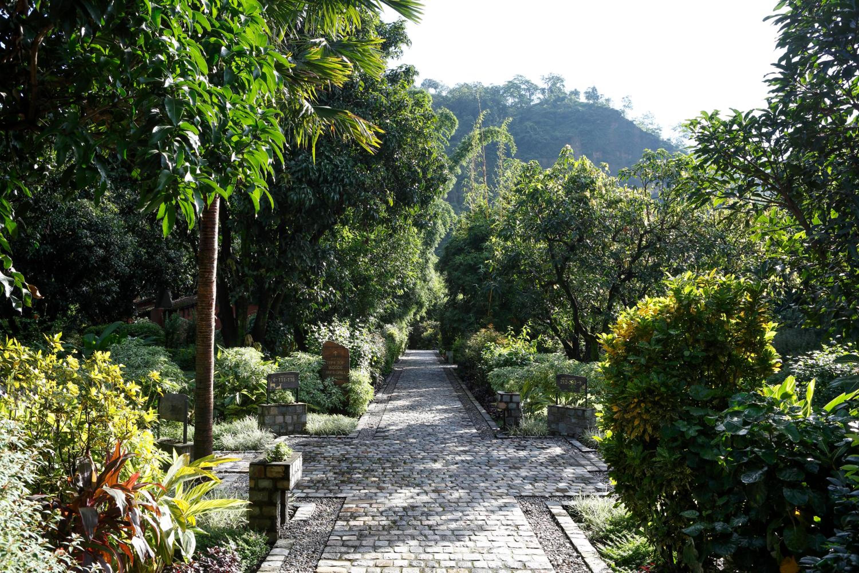 Taj Corbett Resort and Spa Uttarakhand