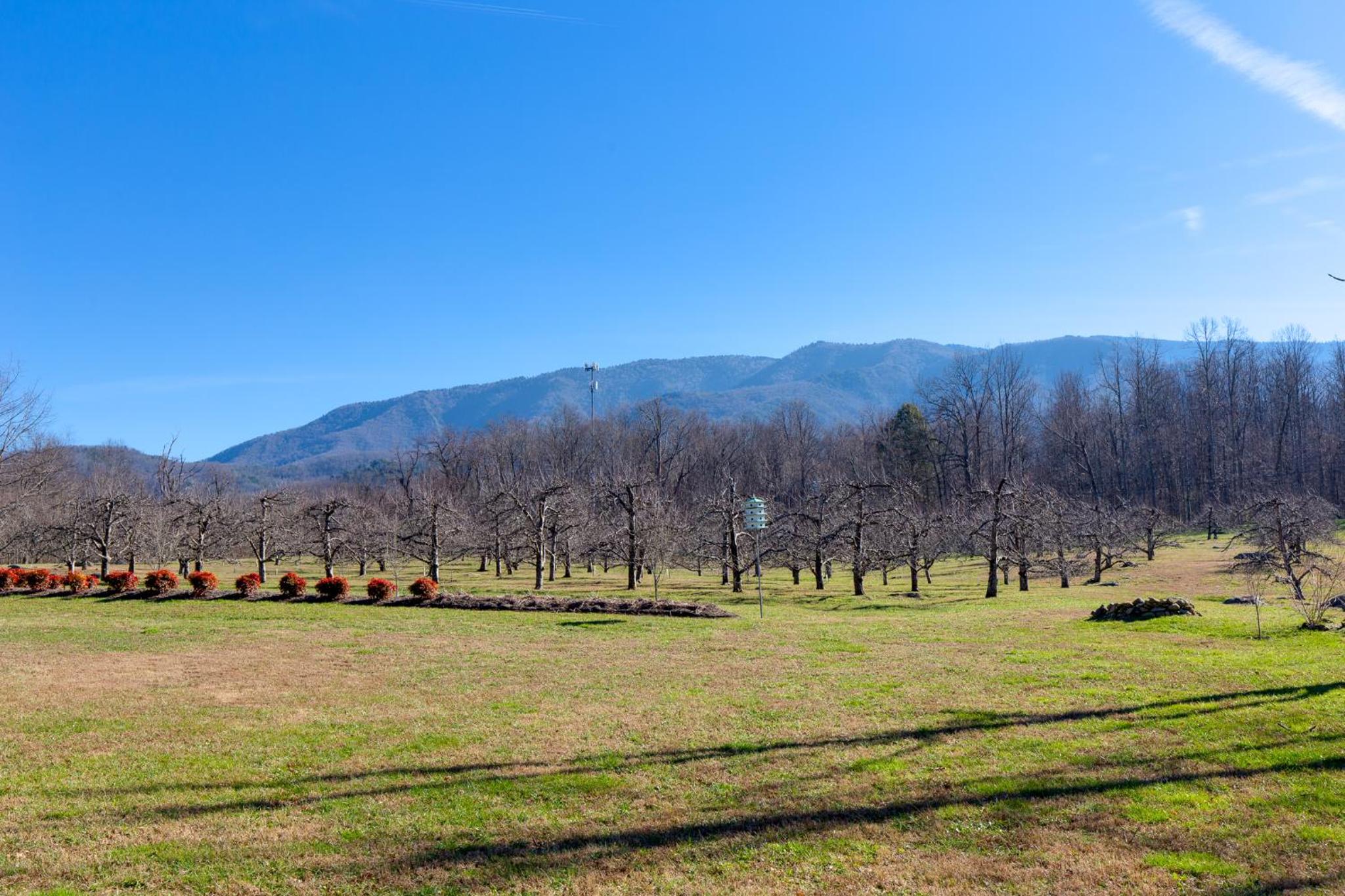 Orchard Hideaway