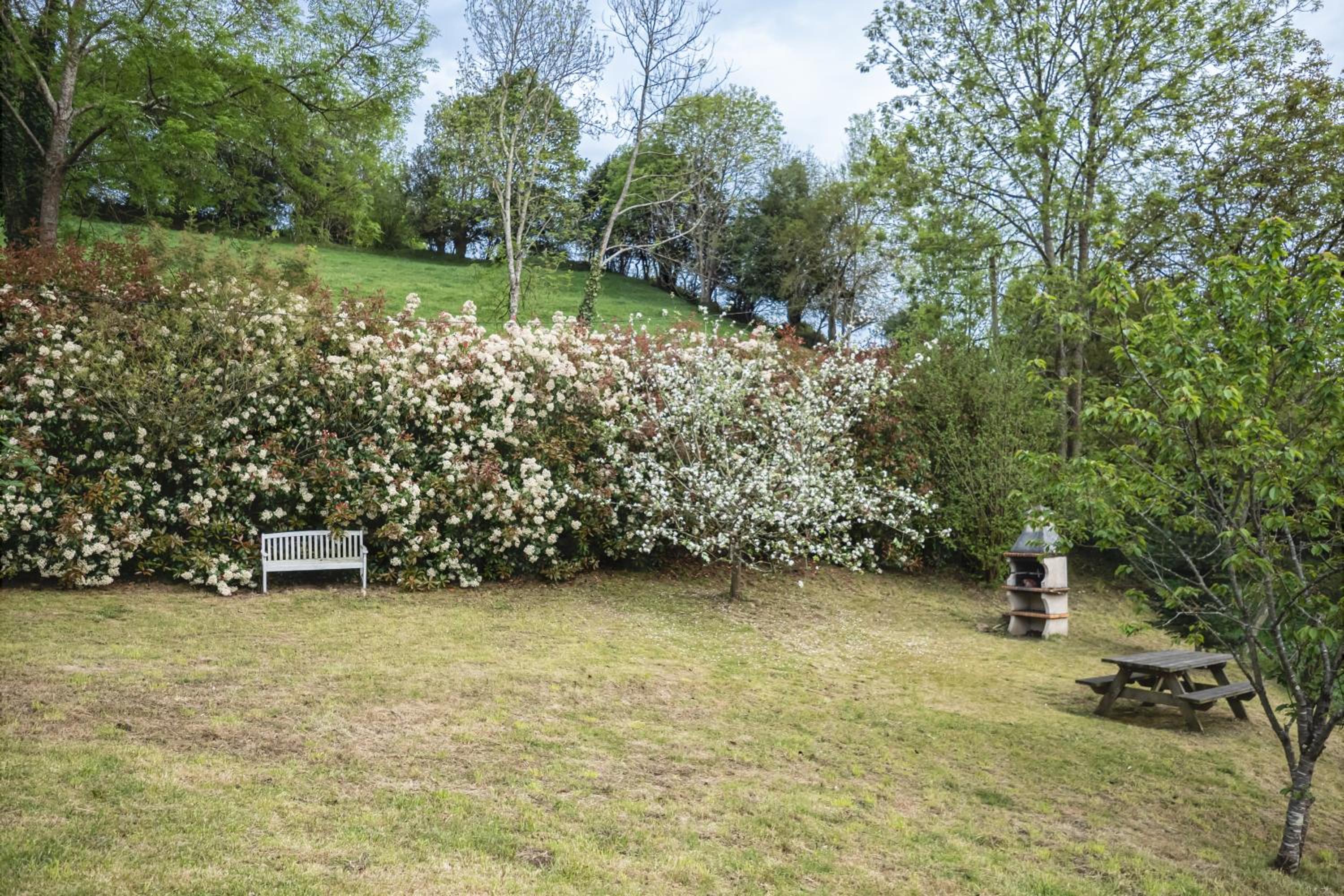 La Coqueta Del Sueve