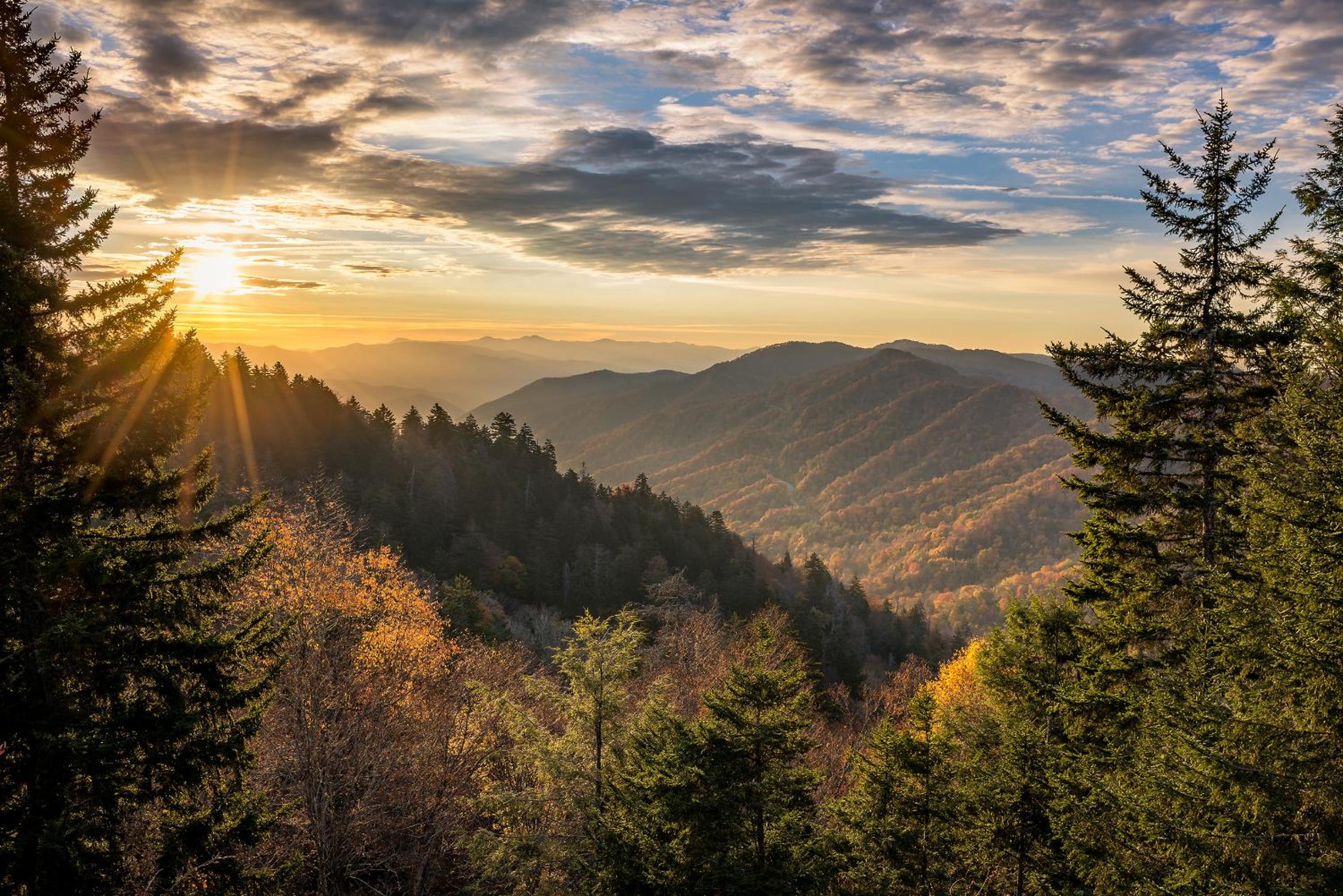 Back to Nature view 4
