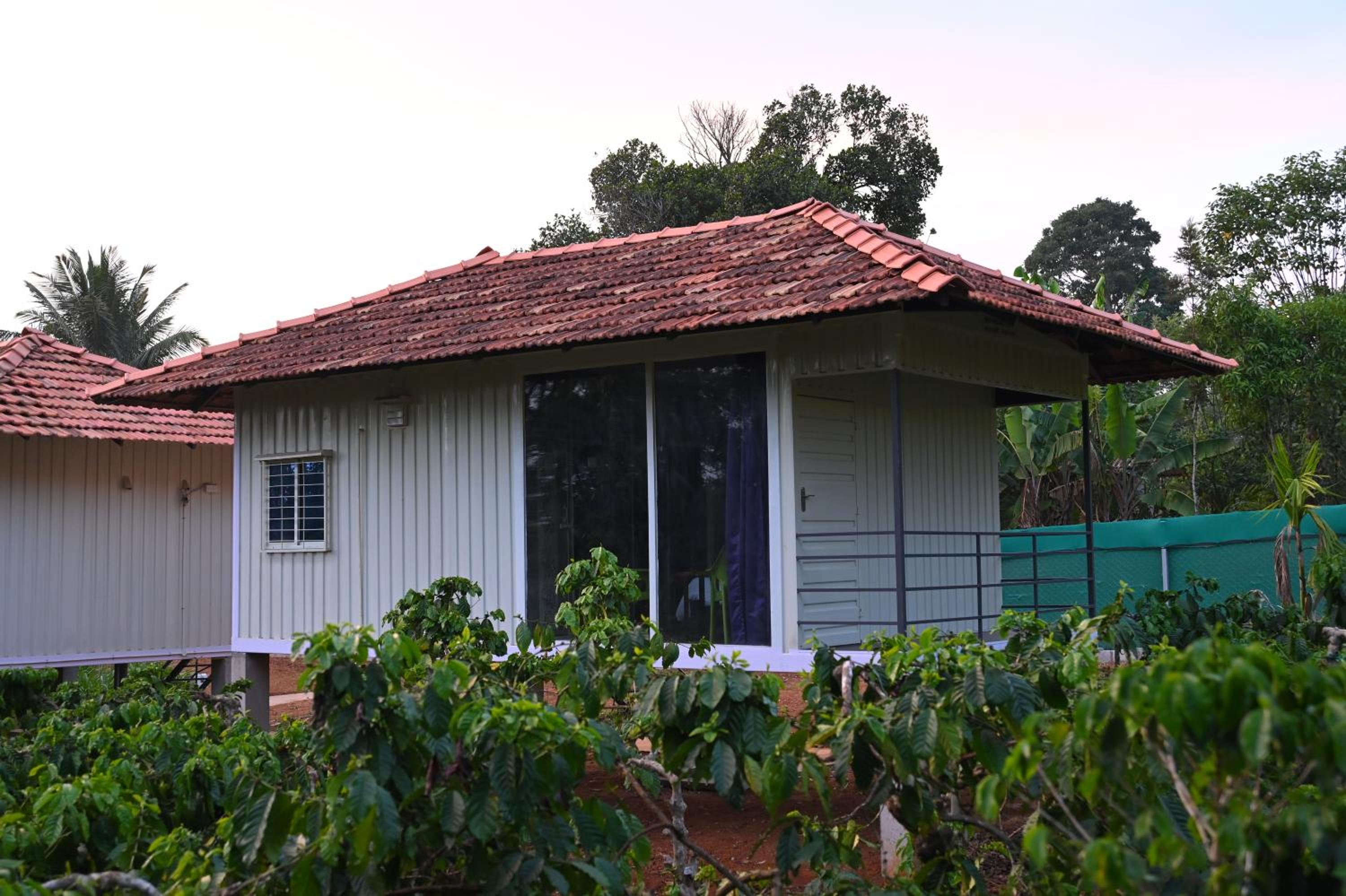 ViGo Homes