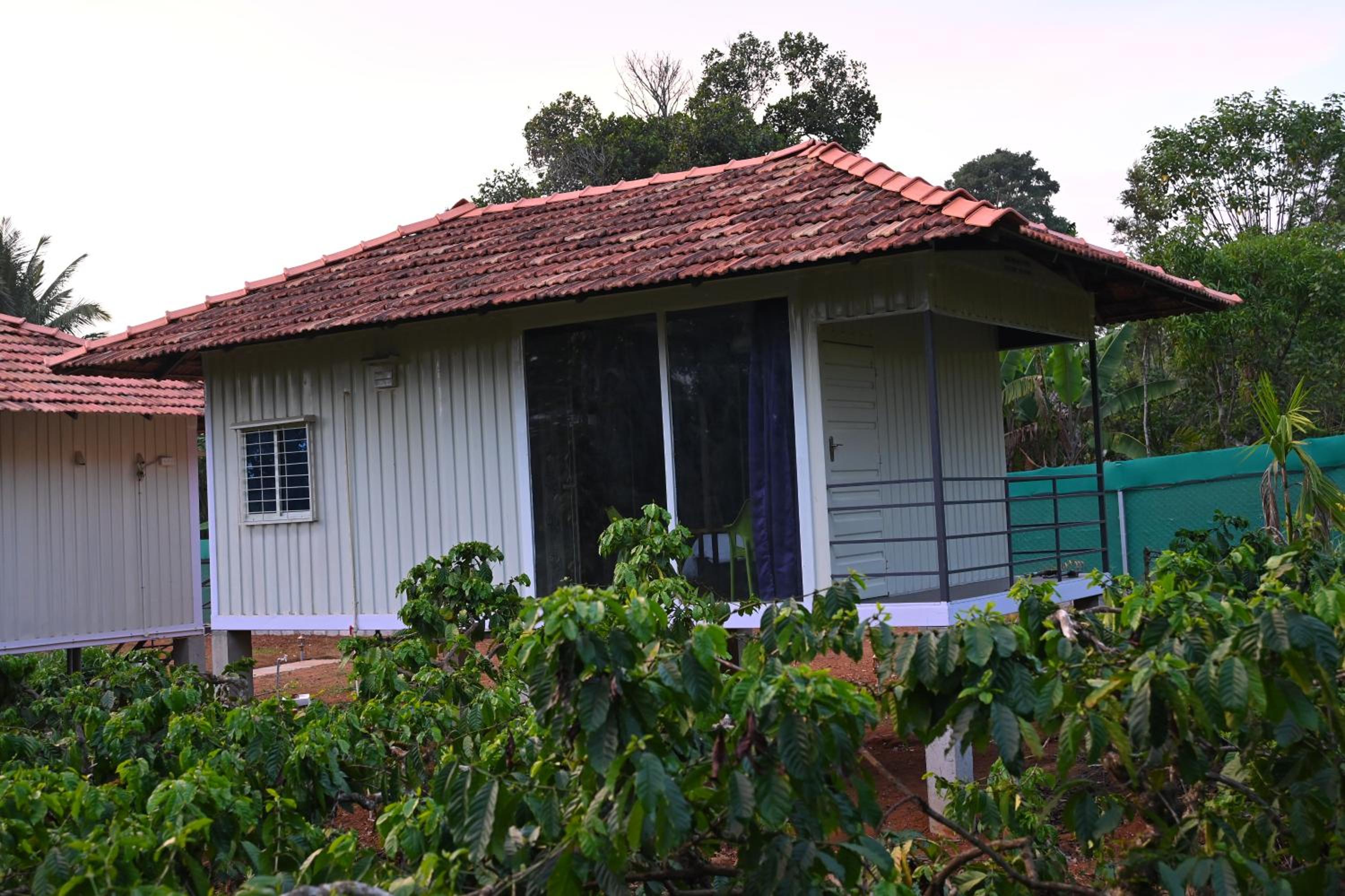 ViGo Homes