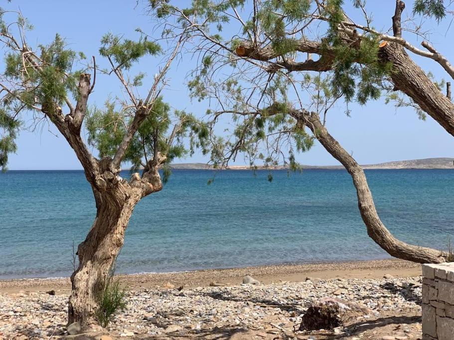 Studio at beautiful beach Kouremenos
