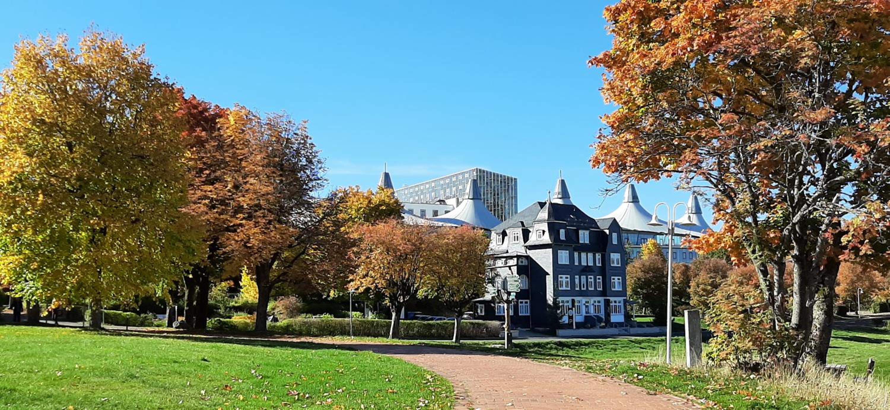 Panoramaferienwohnung Bergwiese