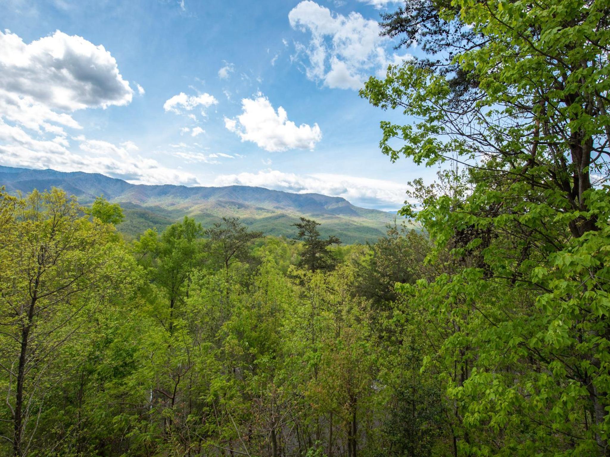 Edens View view 5