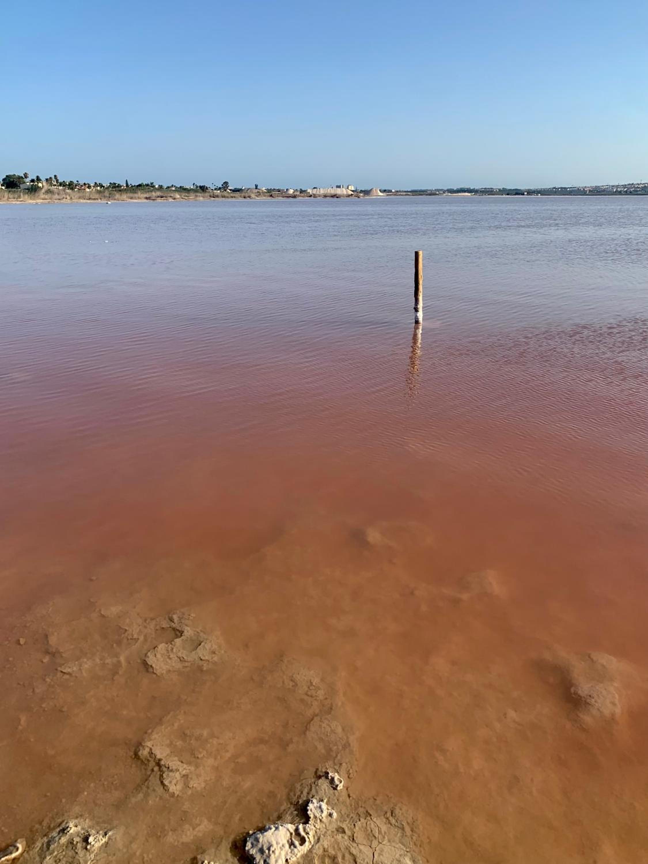 Apartamento Agua Rosa