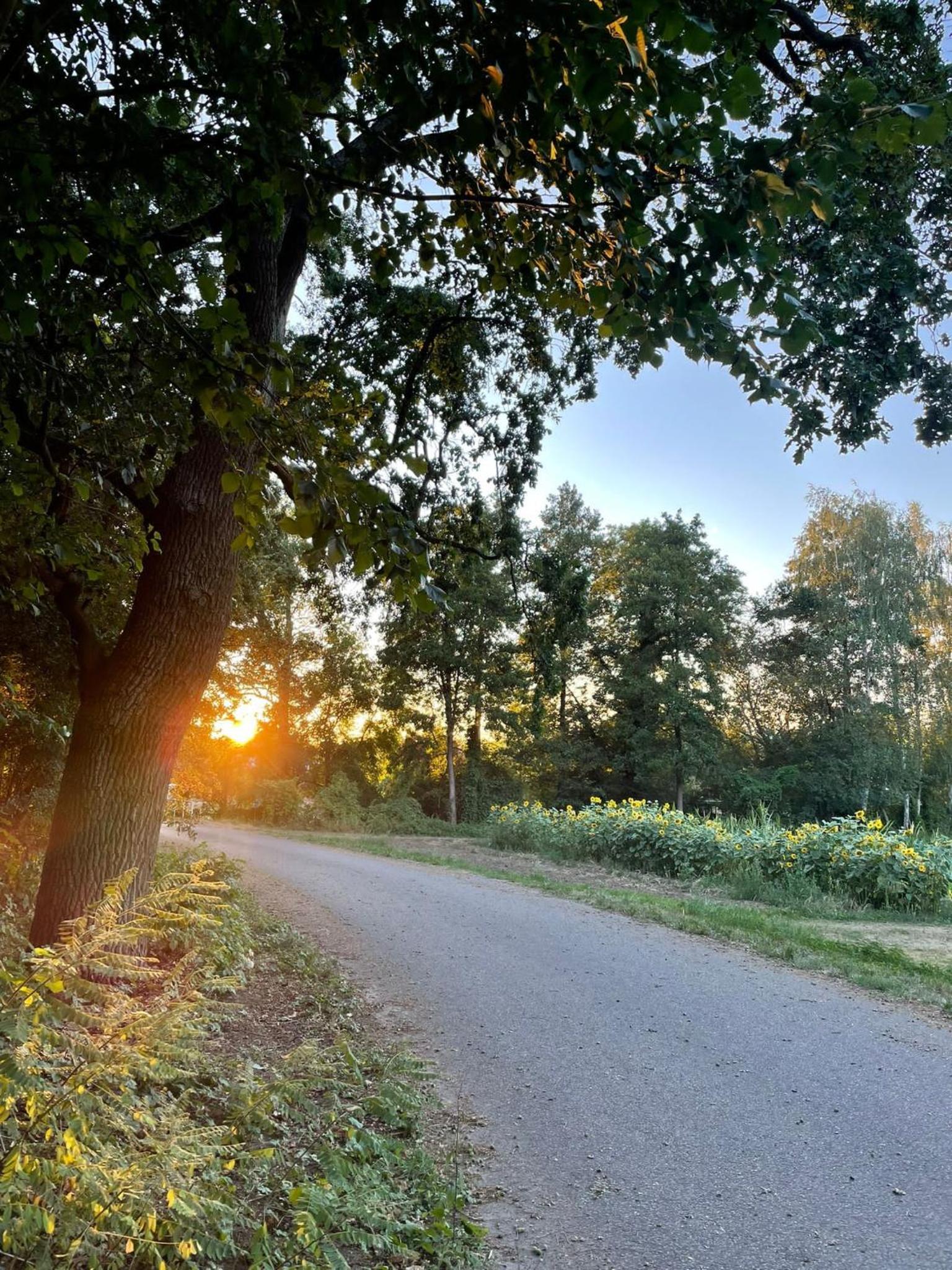 Pension Kchischowka - Property Image 9