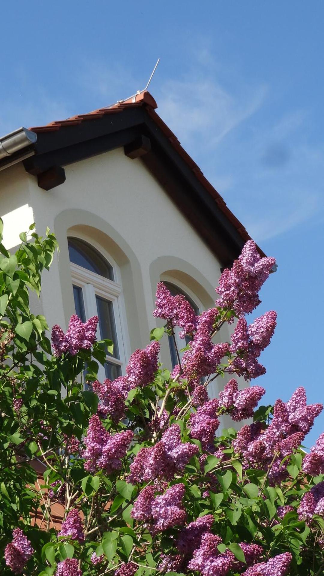 Pension Kchischowka - Property Image 12
