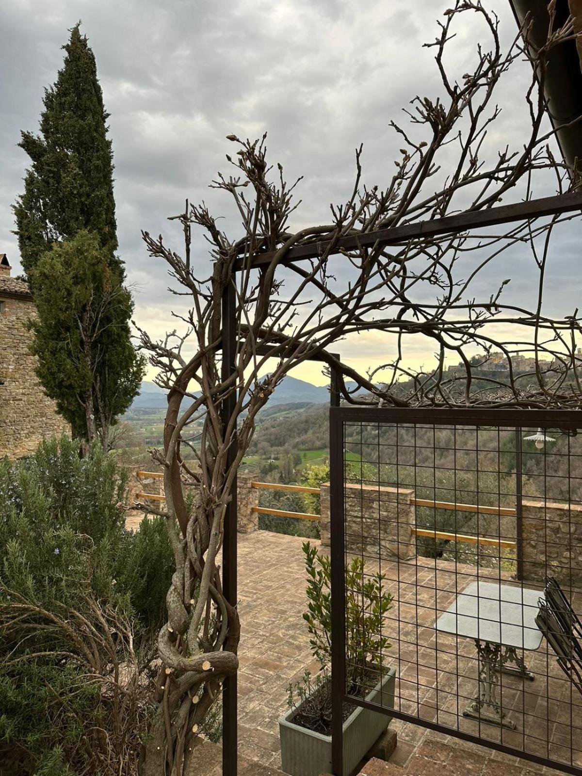 Borgo Cardaneto