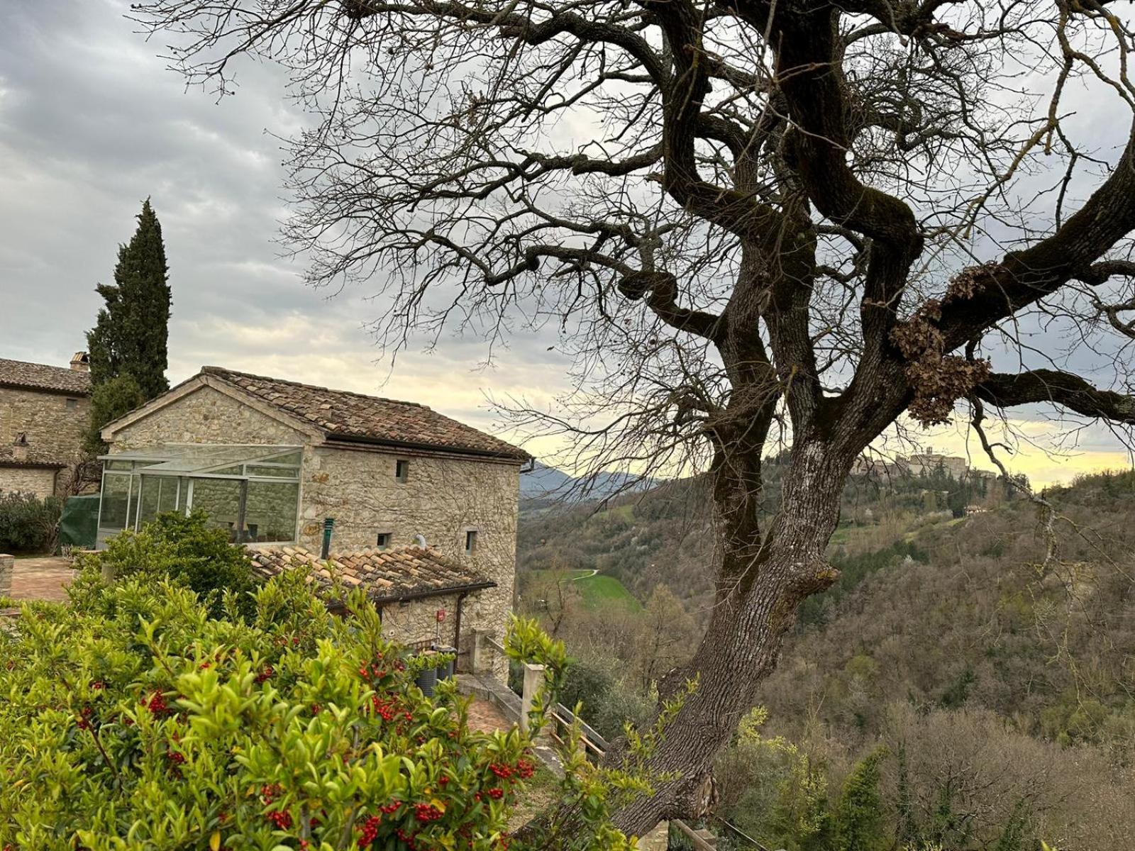 Borgo Cardaneto