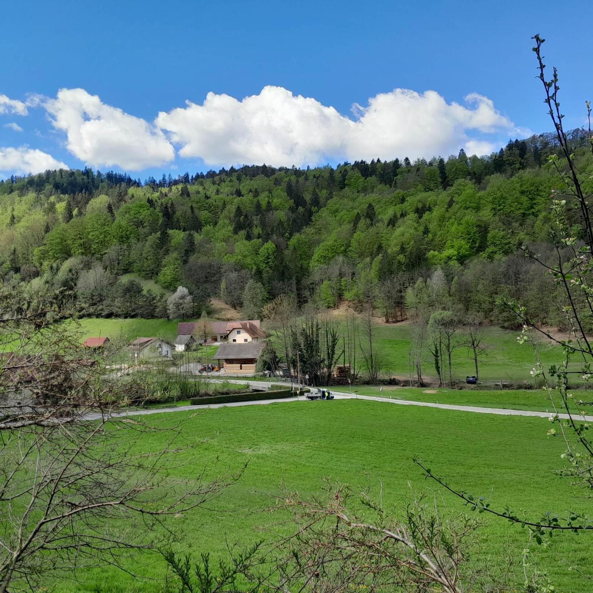 Photo 12