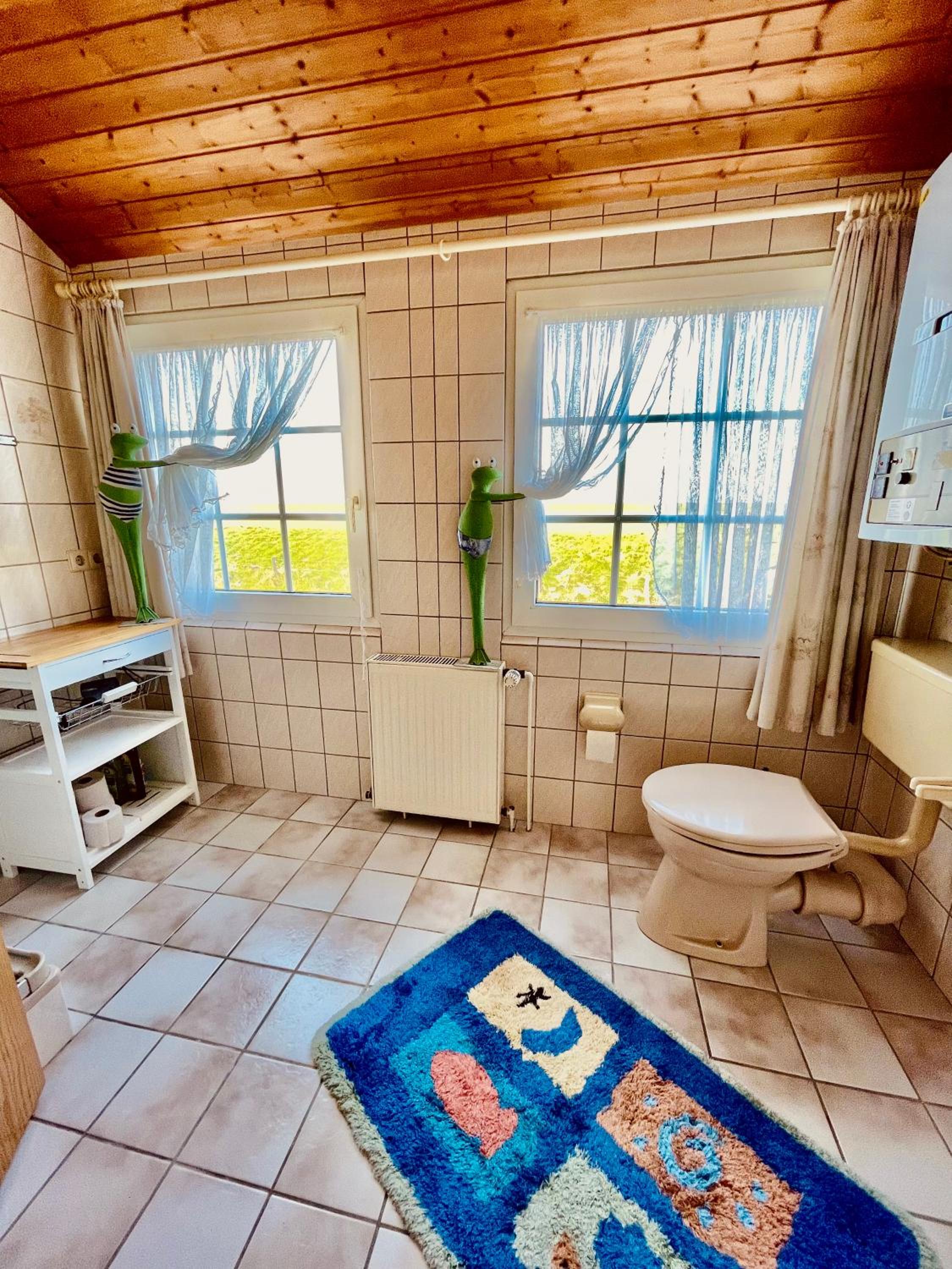 Ferienwohnung direkt am Deich - Seerobbe -