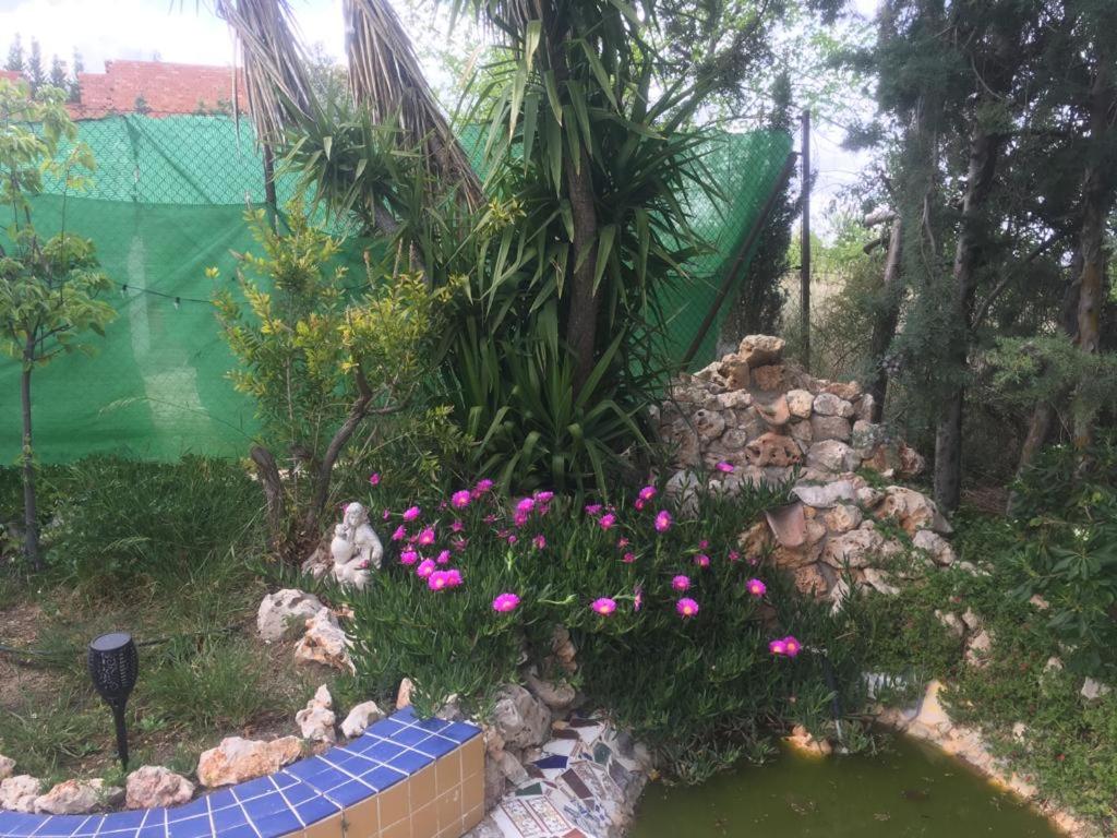 Photo 23