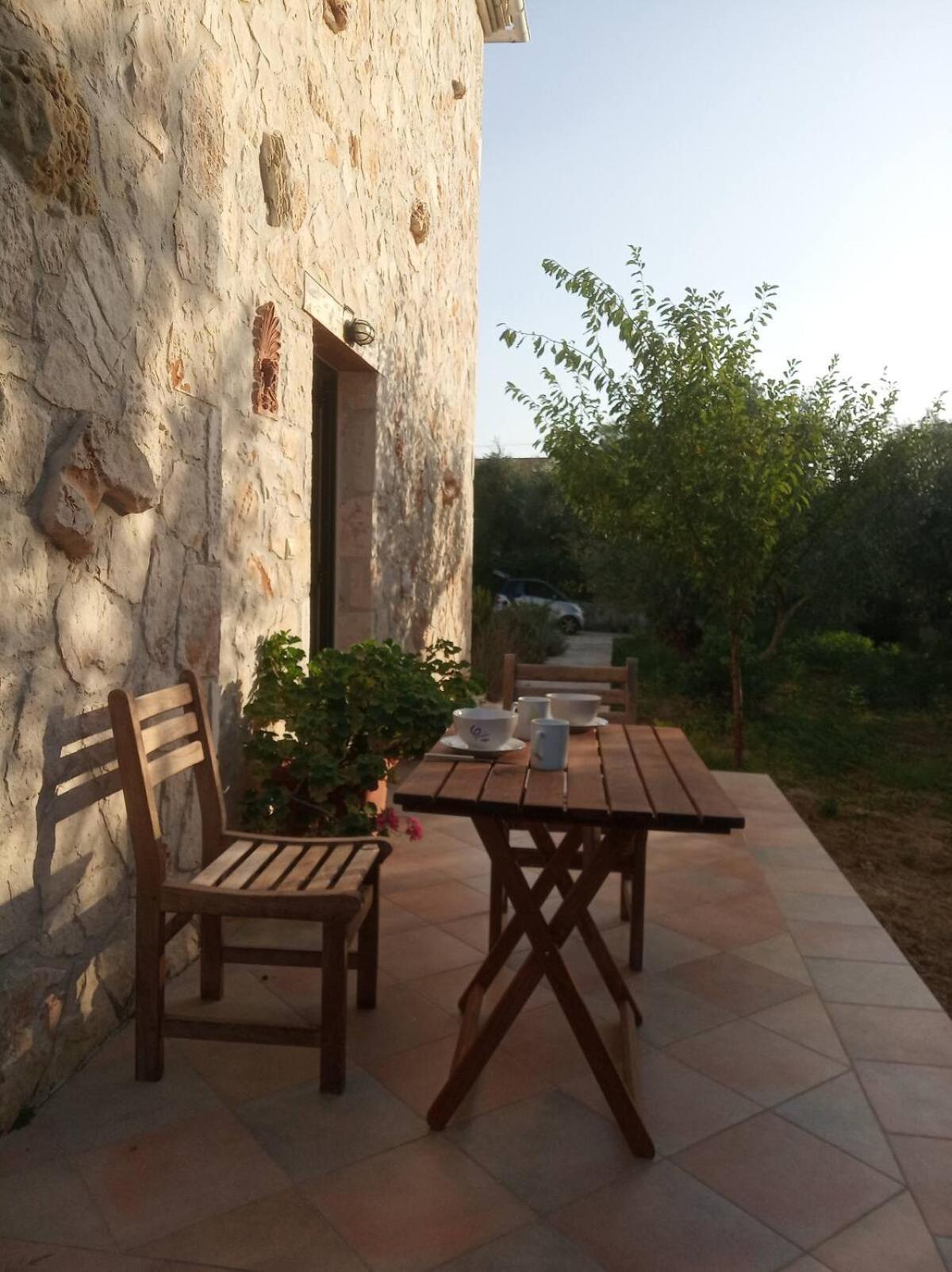Olive Trees photo 2