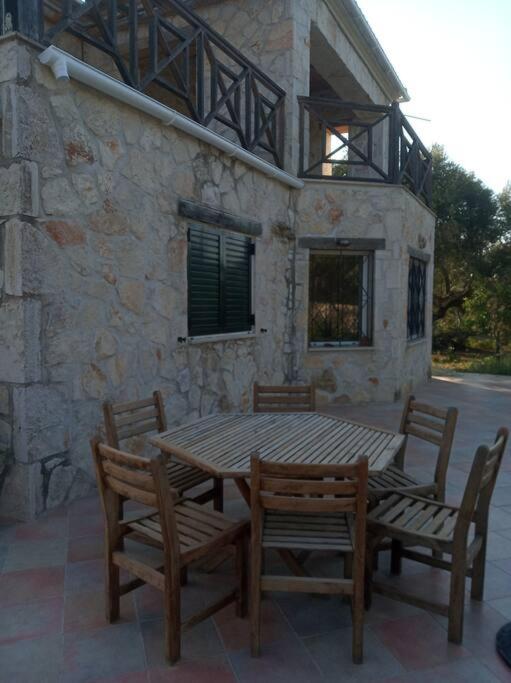 Olive Trees photo 3