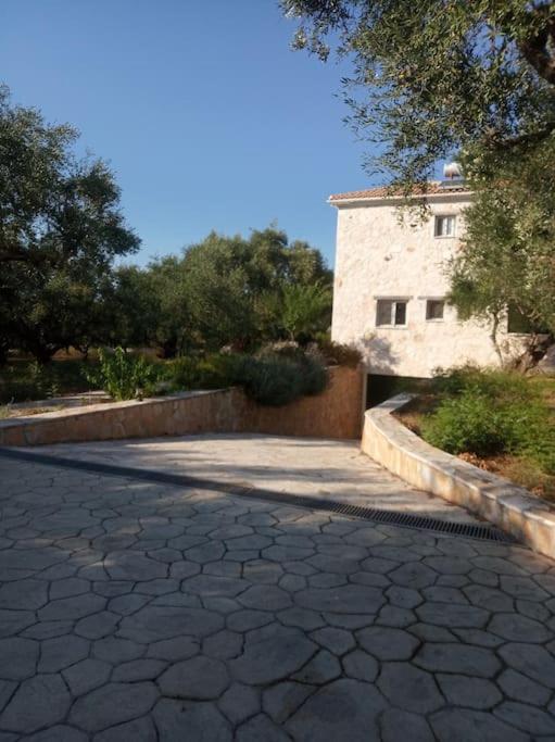 Hotel Olive Trees - Image 1