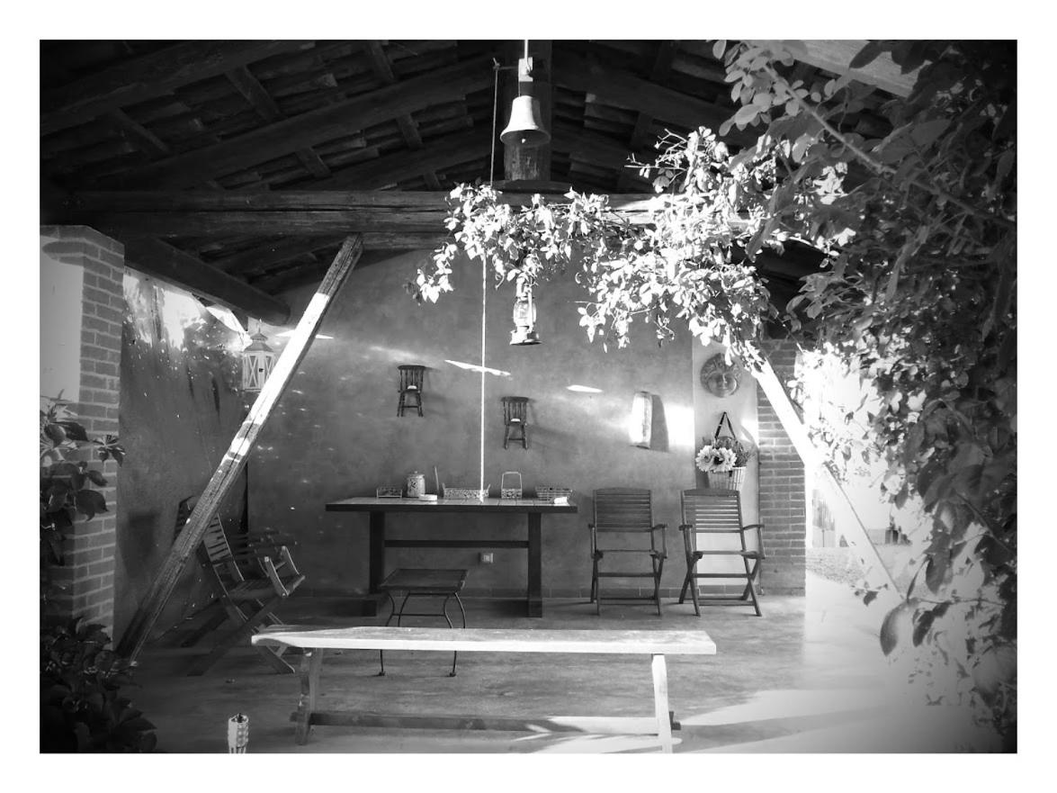 Photo 45
