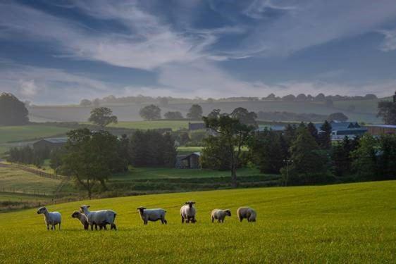 Hollybank Barn