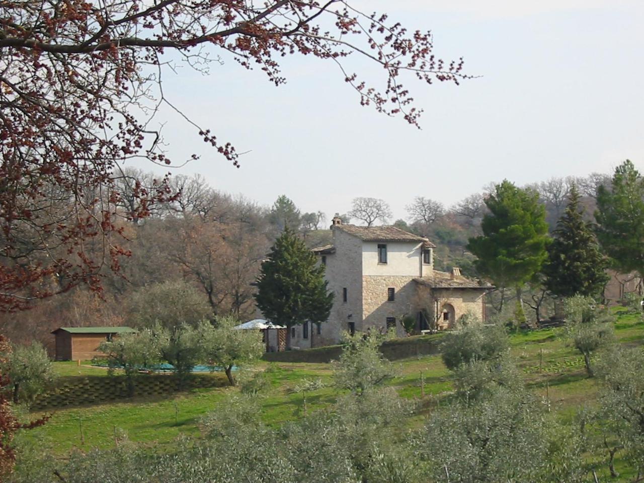 Margherita - Agriturismo Fogliani view 3
