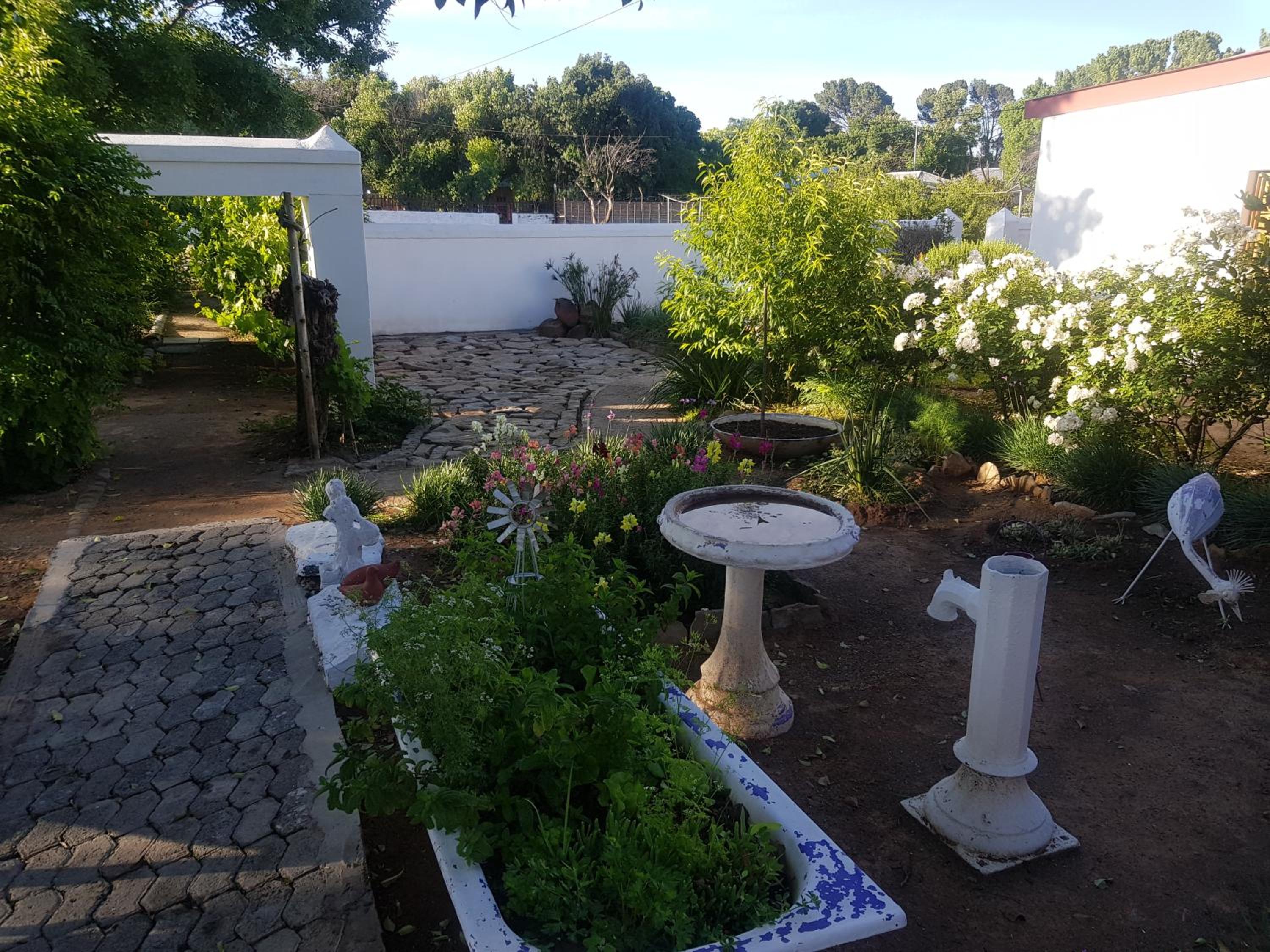 Photo 23